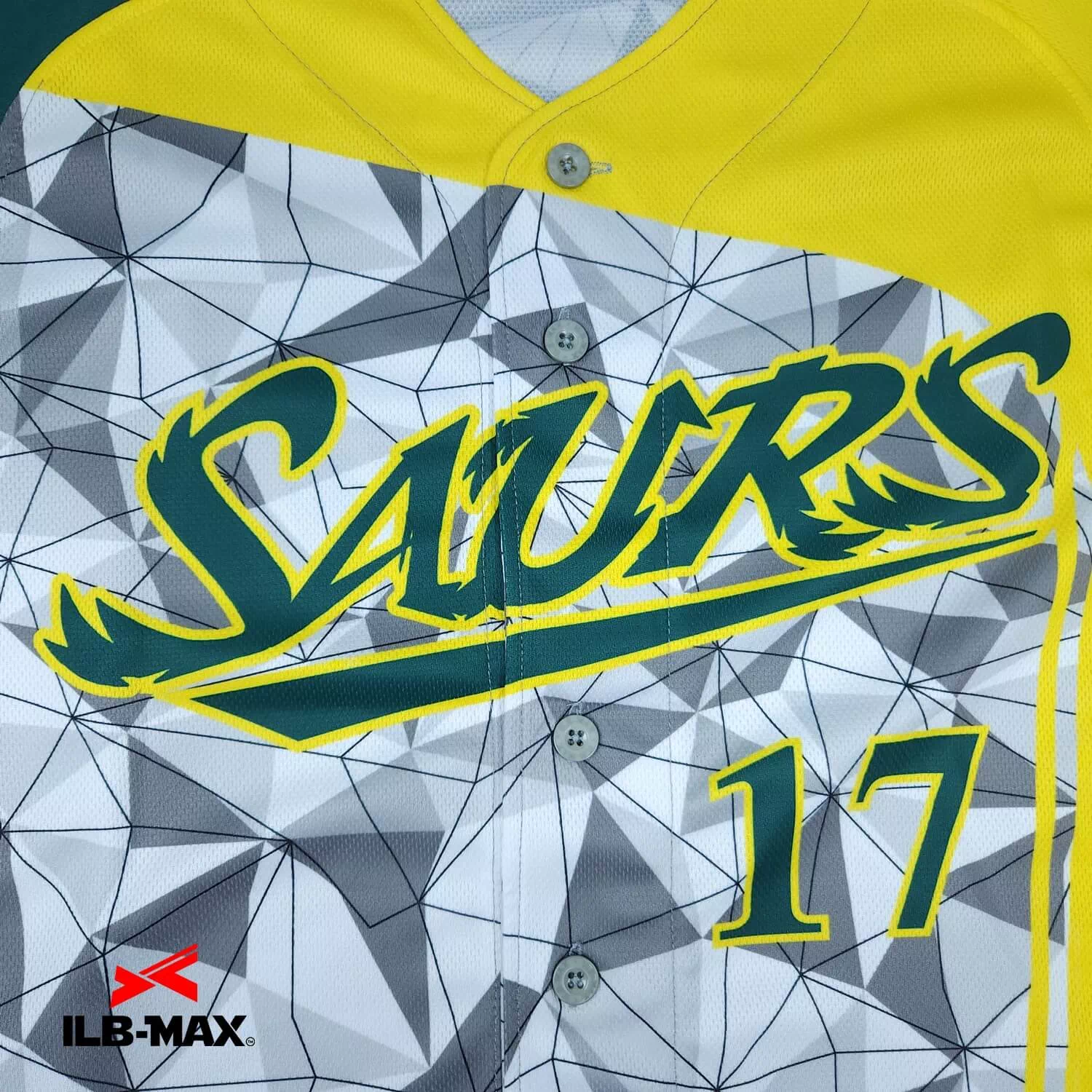 SAURS 2nd7