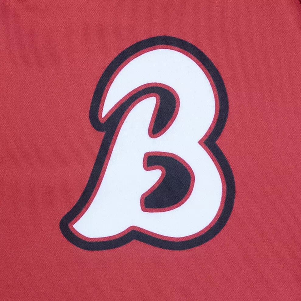 SAYAMA Buffaloes_PV1