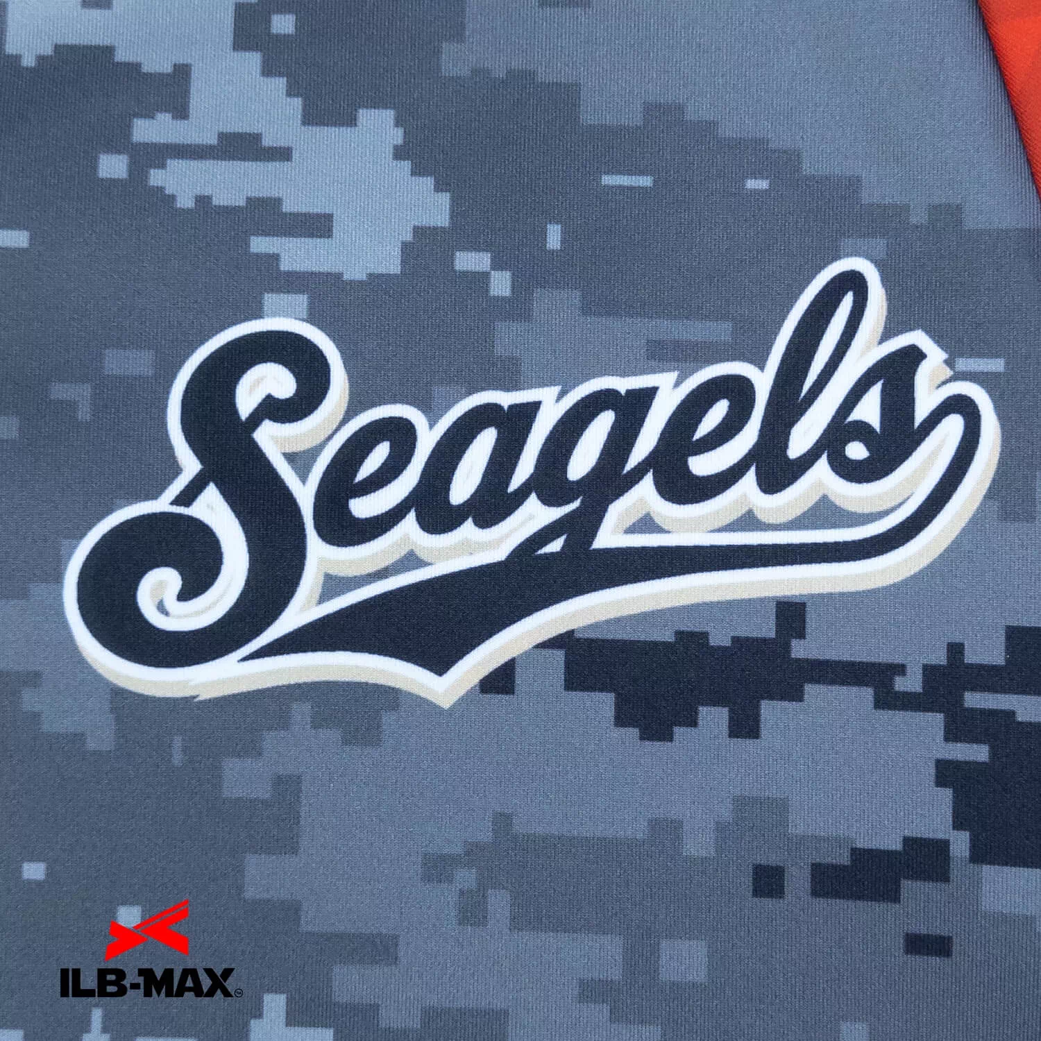 Seagels_PV1