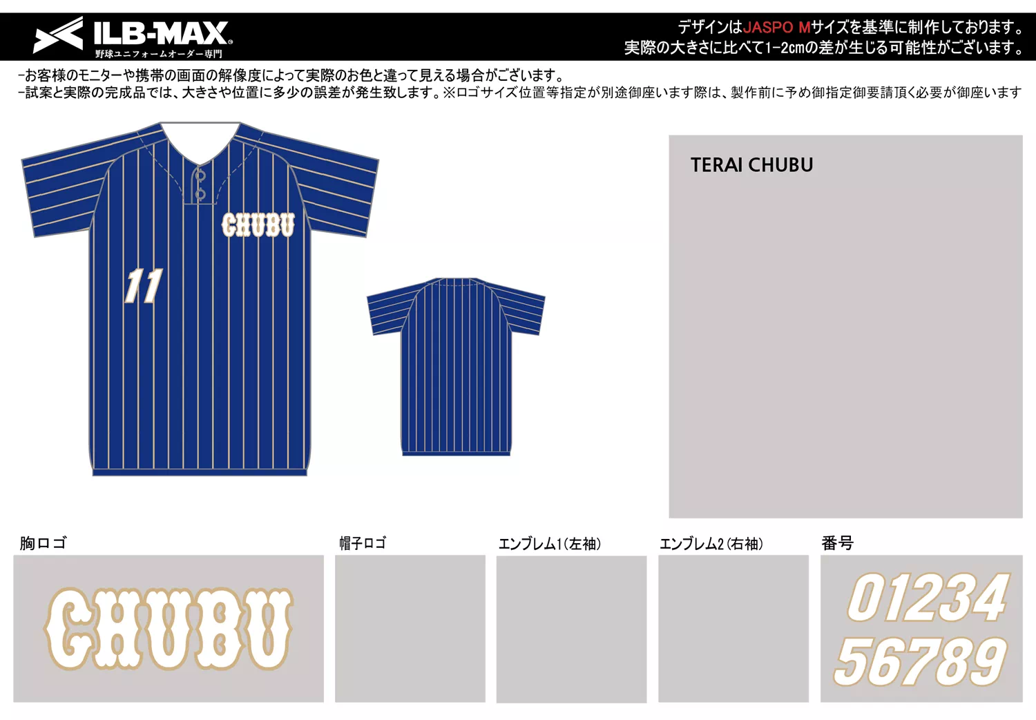 野球 ユニフォーム デザイン_TERAI CHUBU