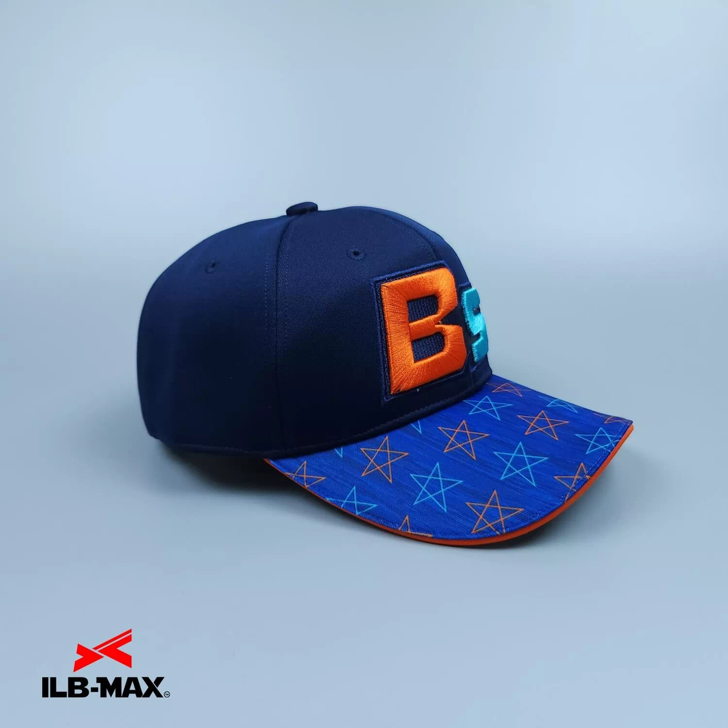 Be Stars 3rd5