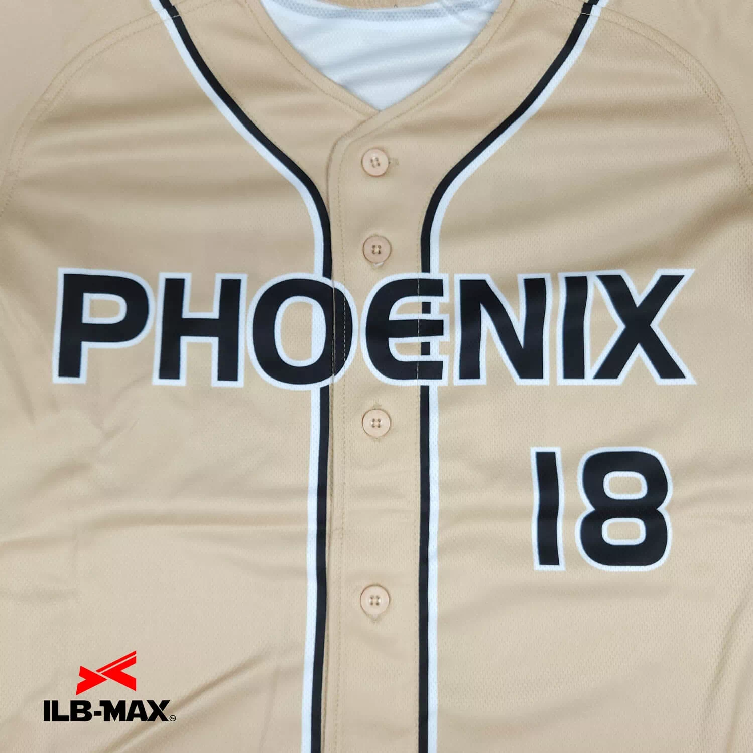 Fukushima Phoenix1
