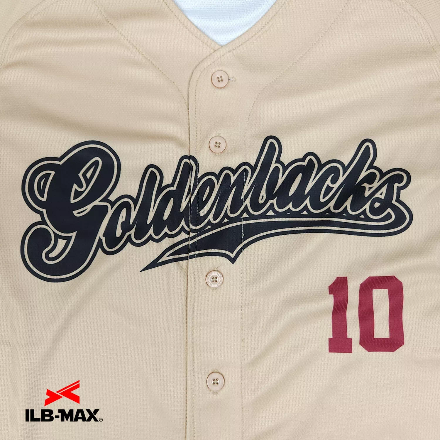 Golden backs1