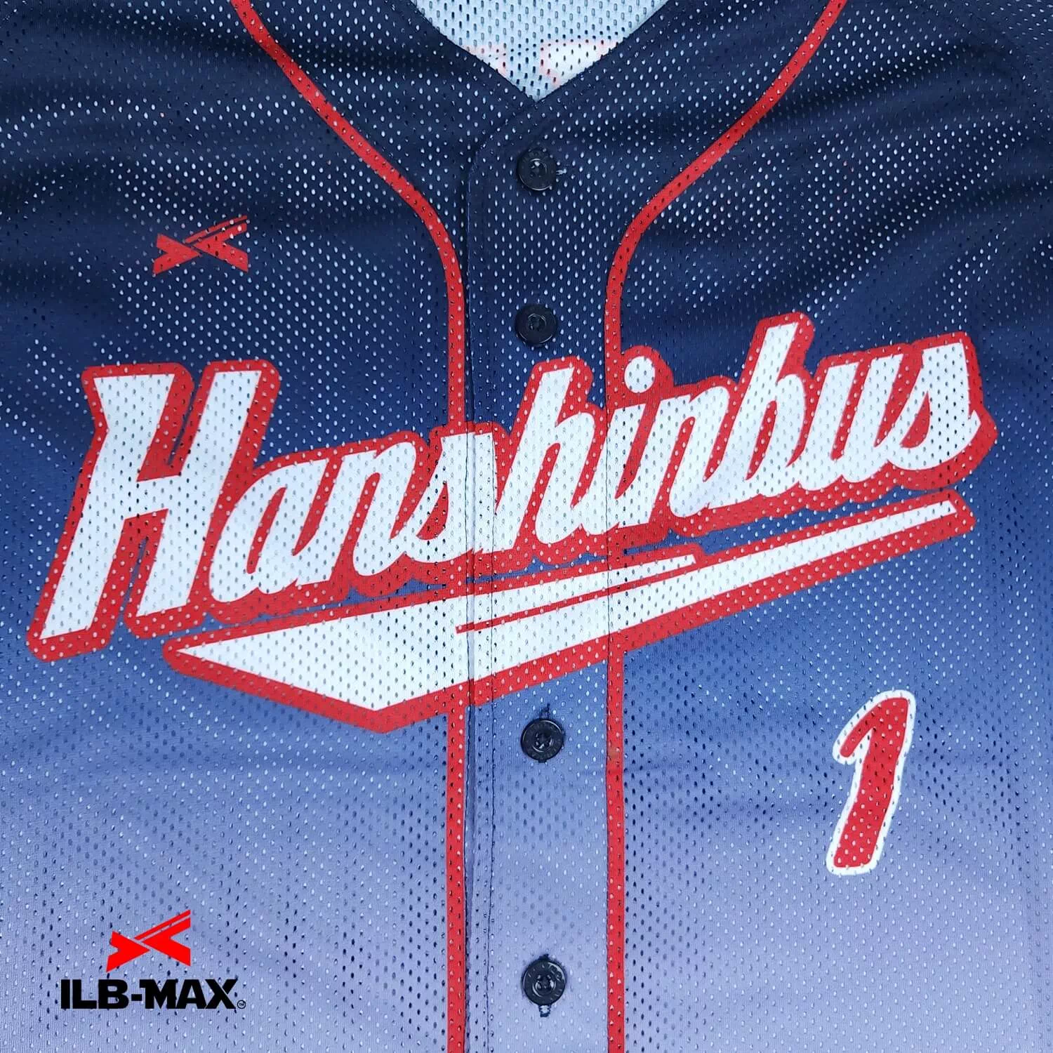 HANSHIN BUS1