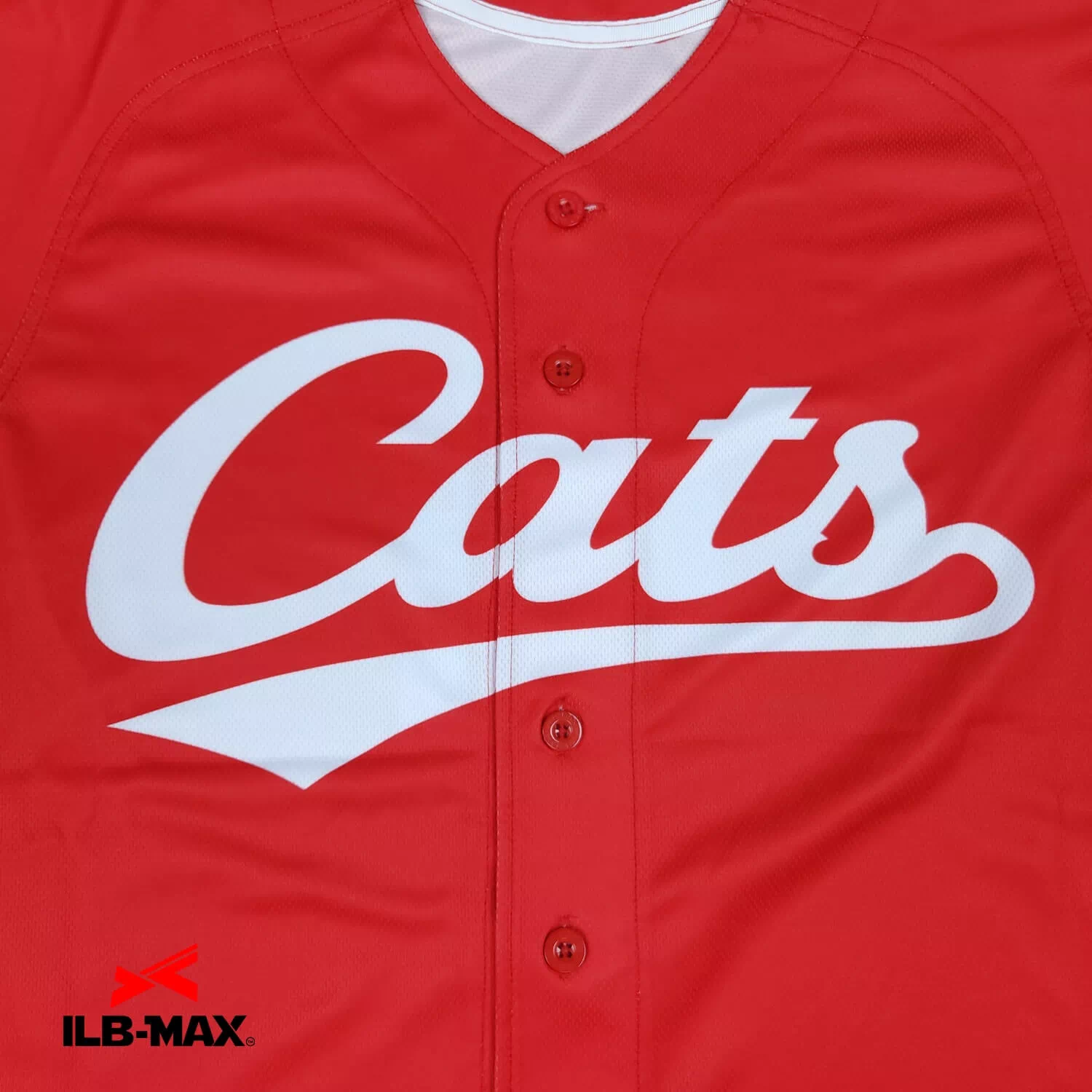 Kasaibashi cats1