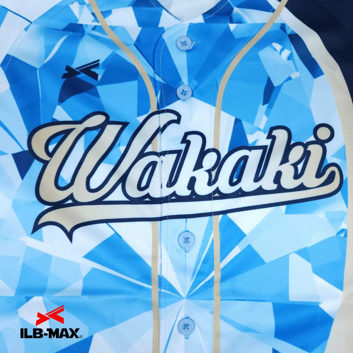 wakaki1
