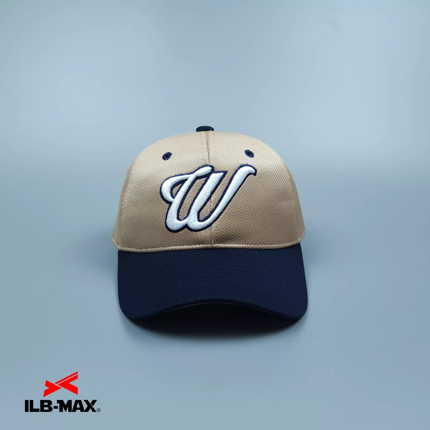 wakaki4
