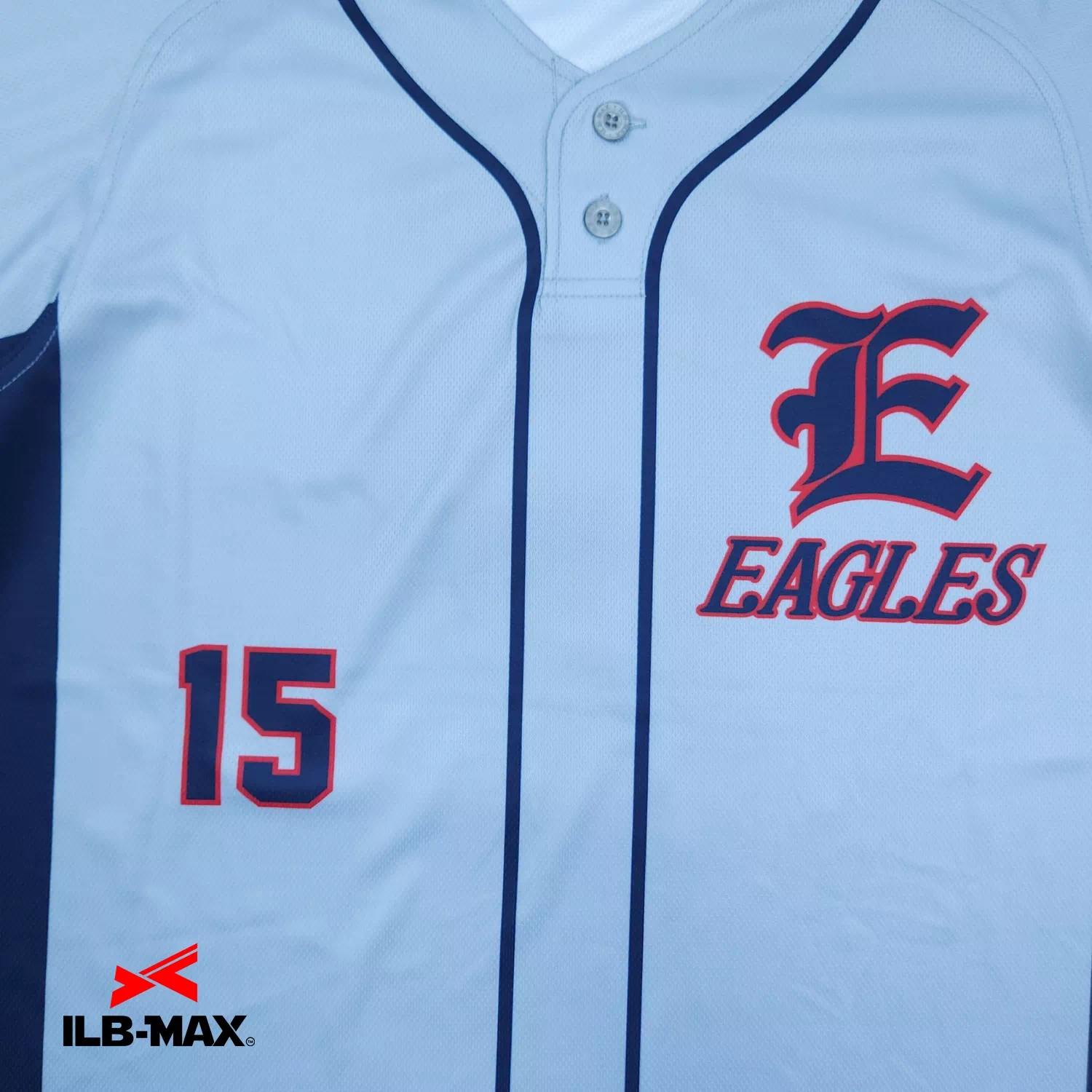 AICHI EAGLES1