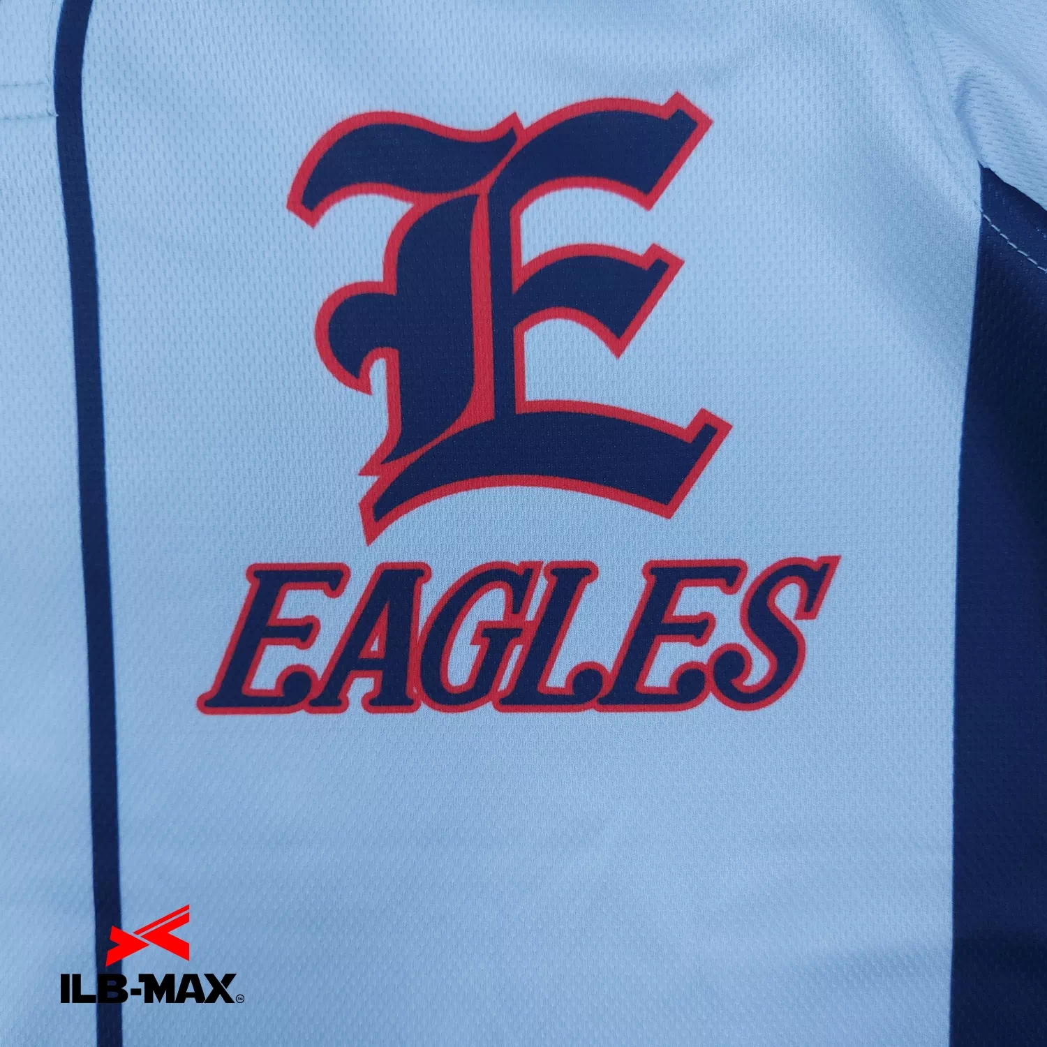AICHI EAGLES2