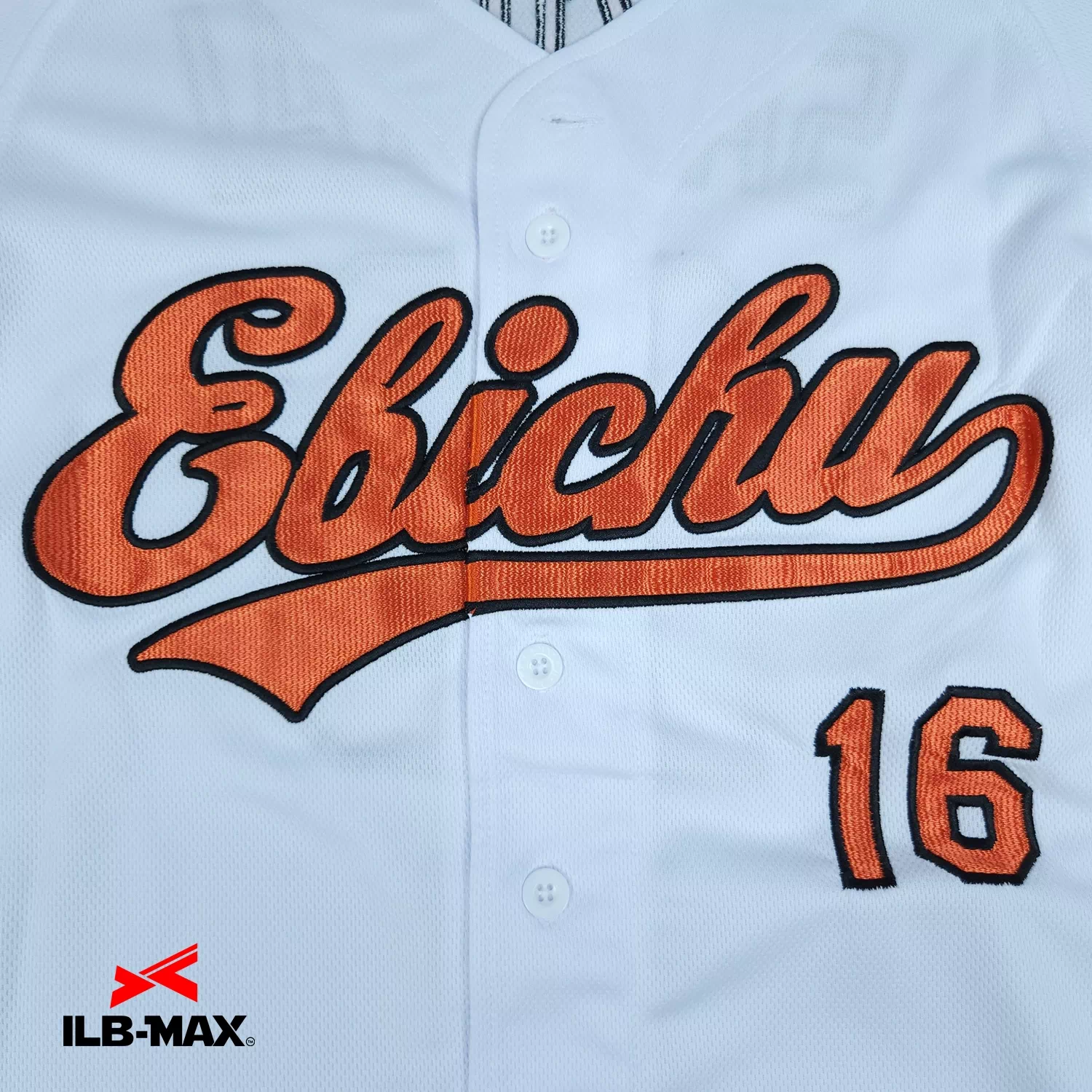 AICHI Ebichu1