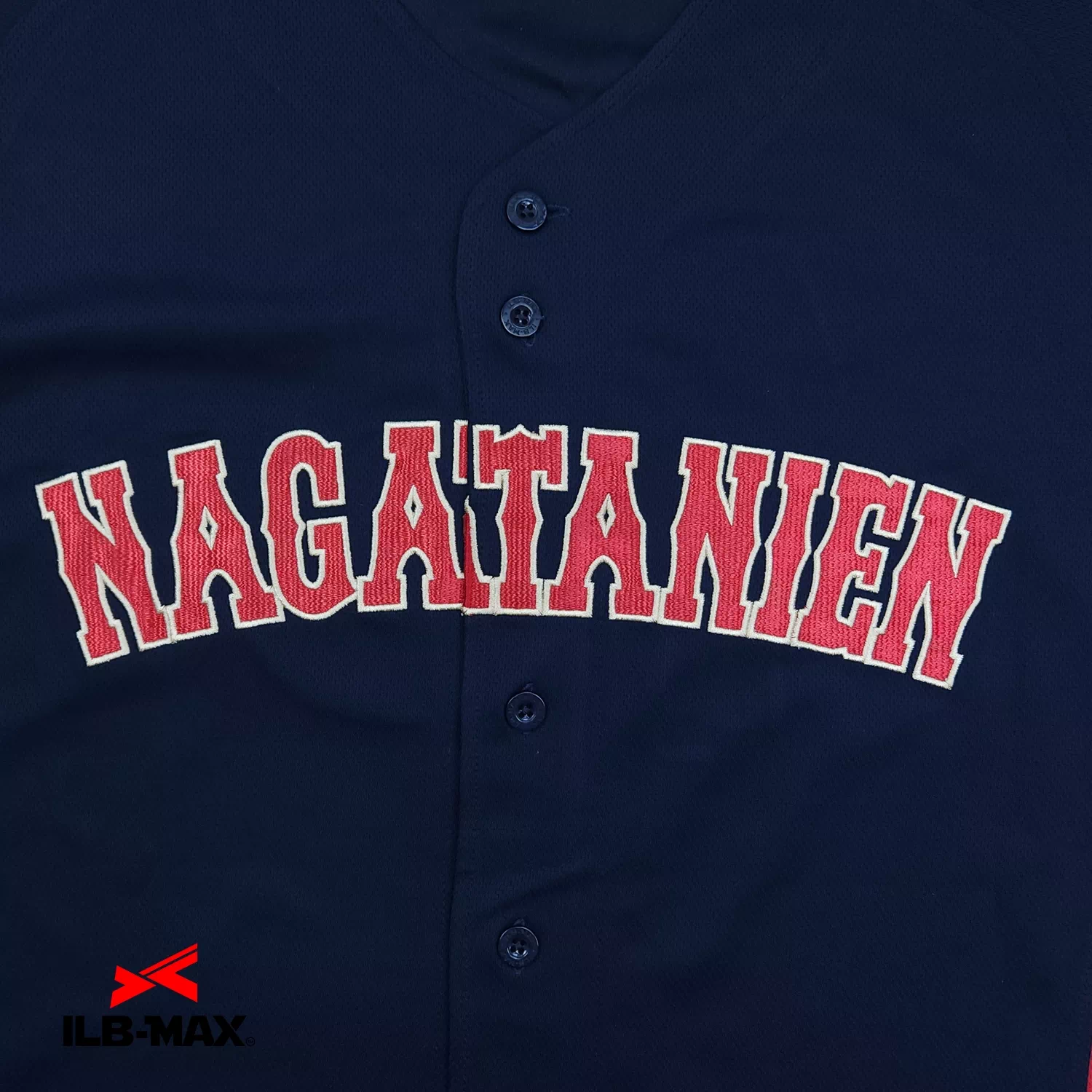 NAGATANIEN2