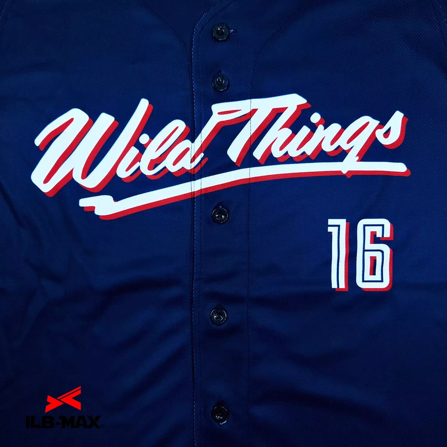 CHIBA WildThings2