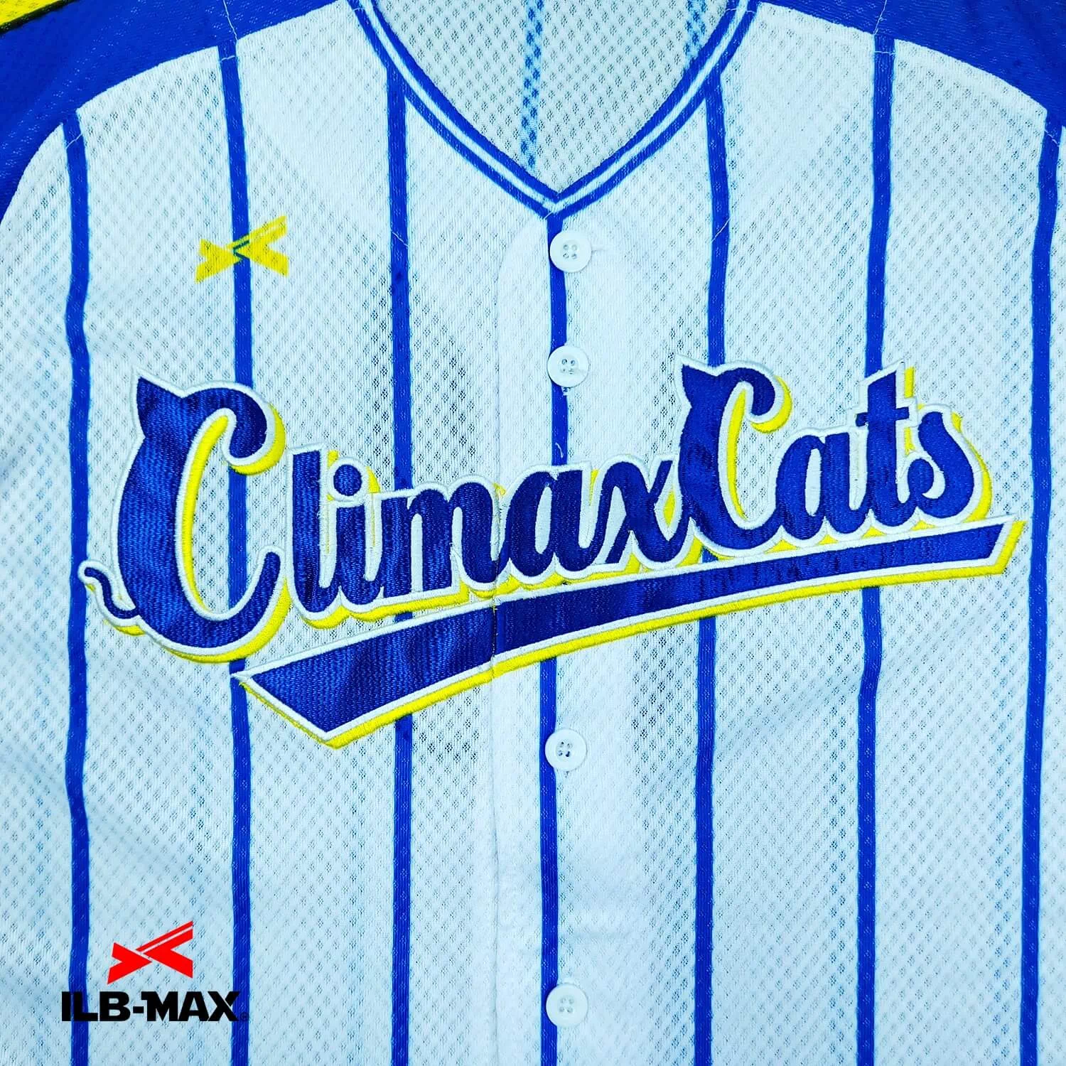 ClimaxCats1