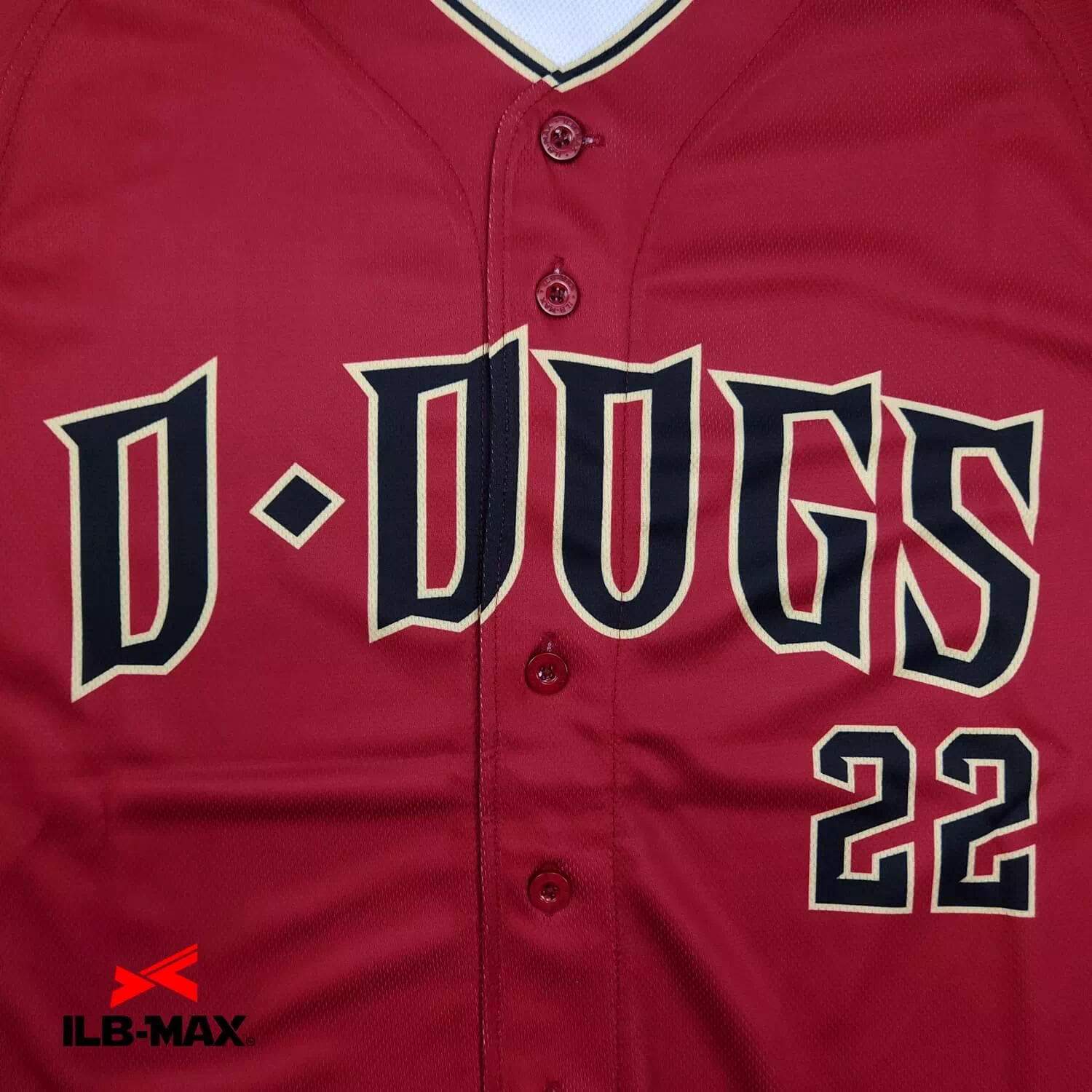 D・DOGS2