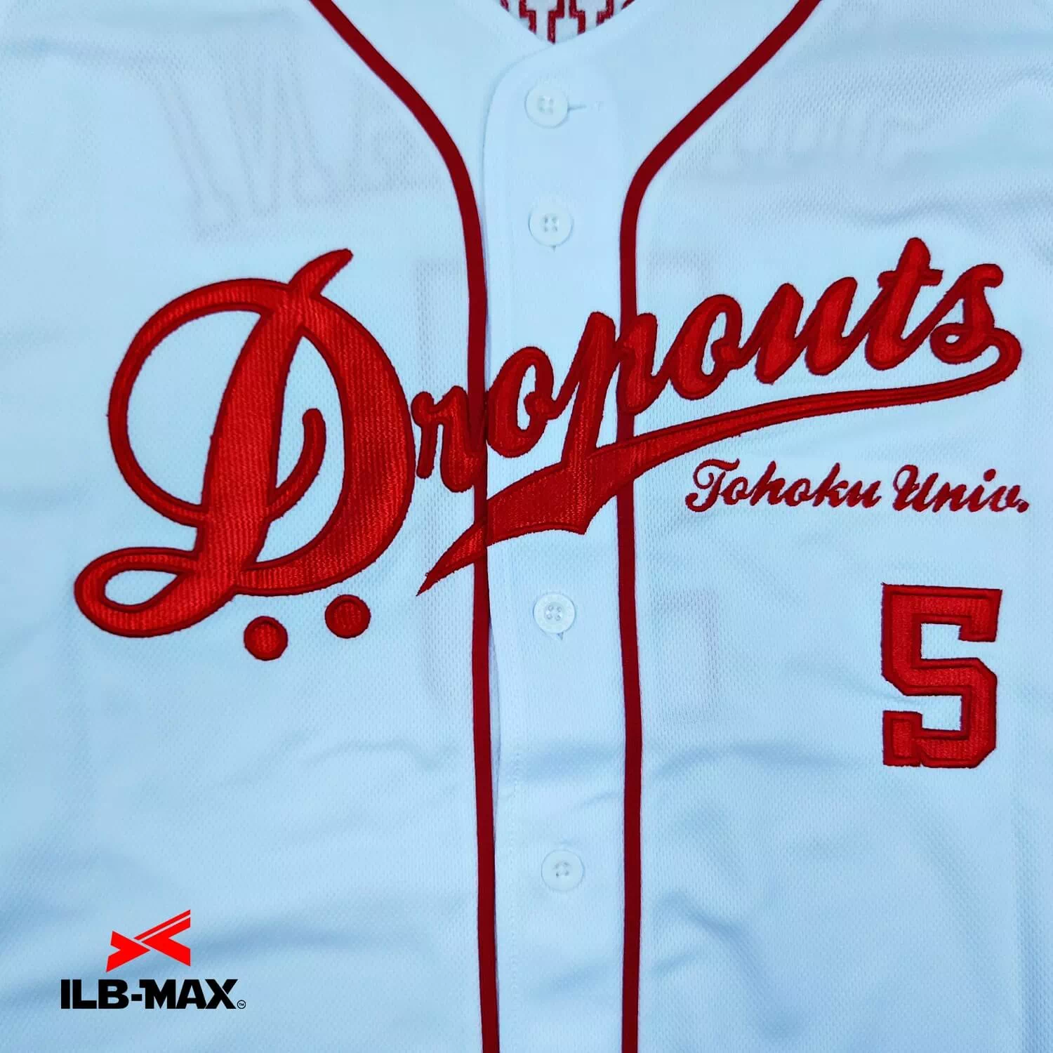 Dropouts2