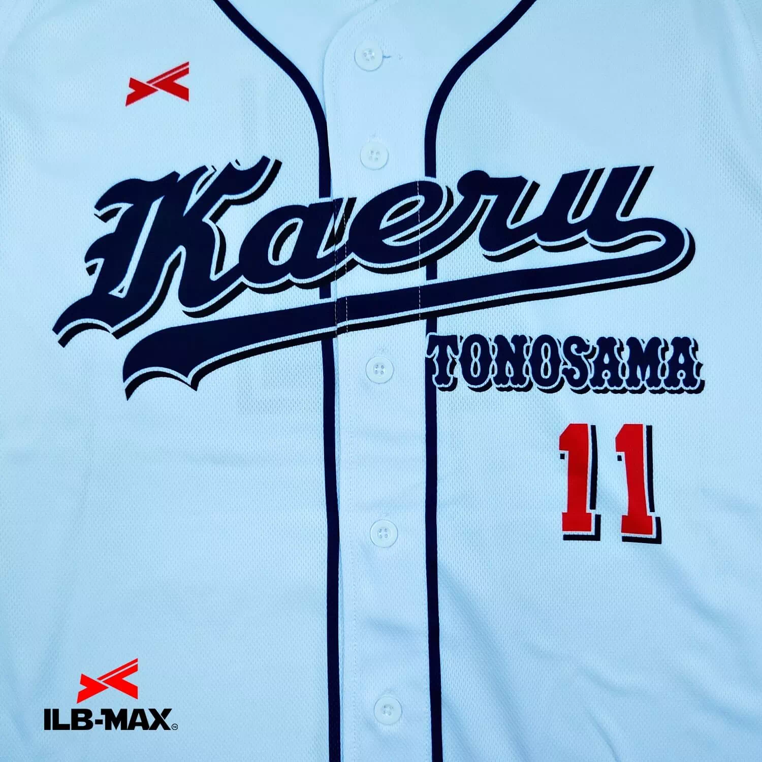 FLOGS2