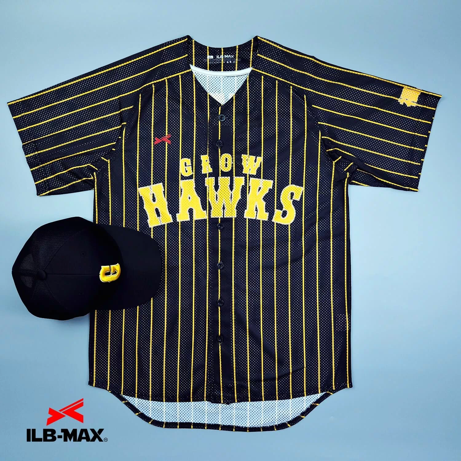 GrowHAWKS1