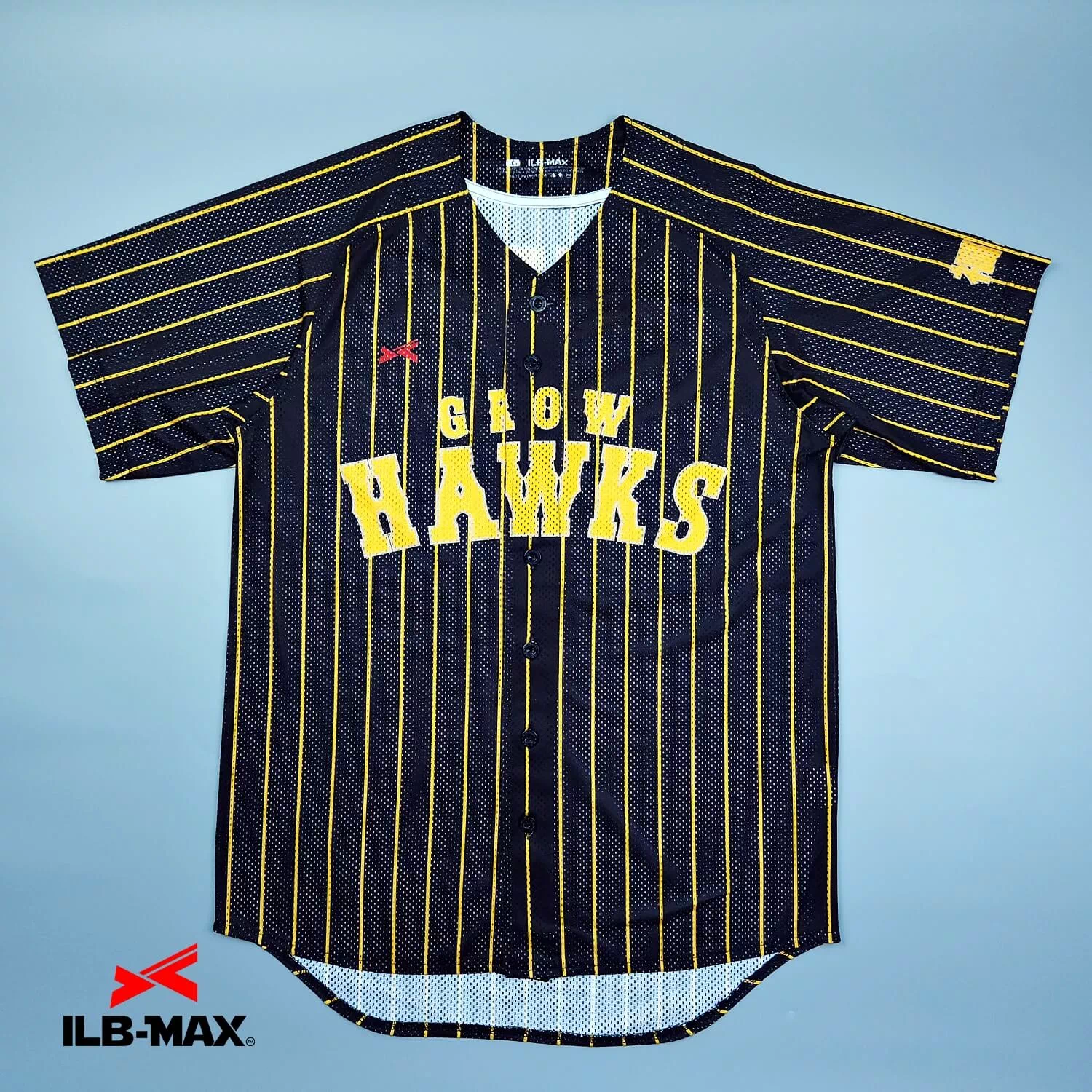 GrowHAWKS2