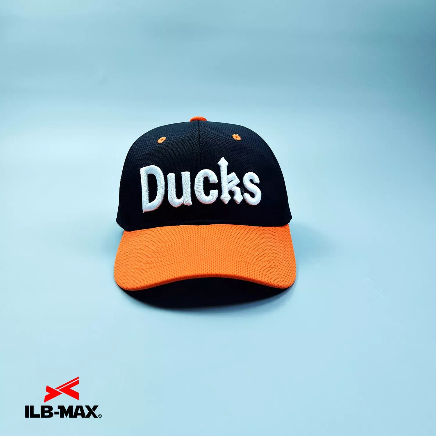 HACHIOJI DUCKS6