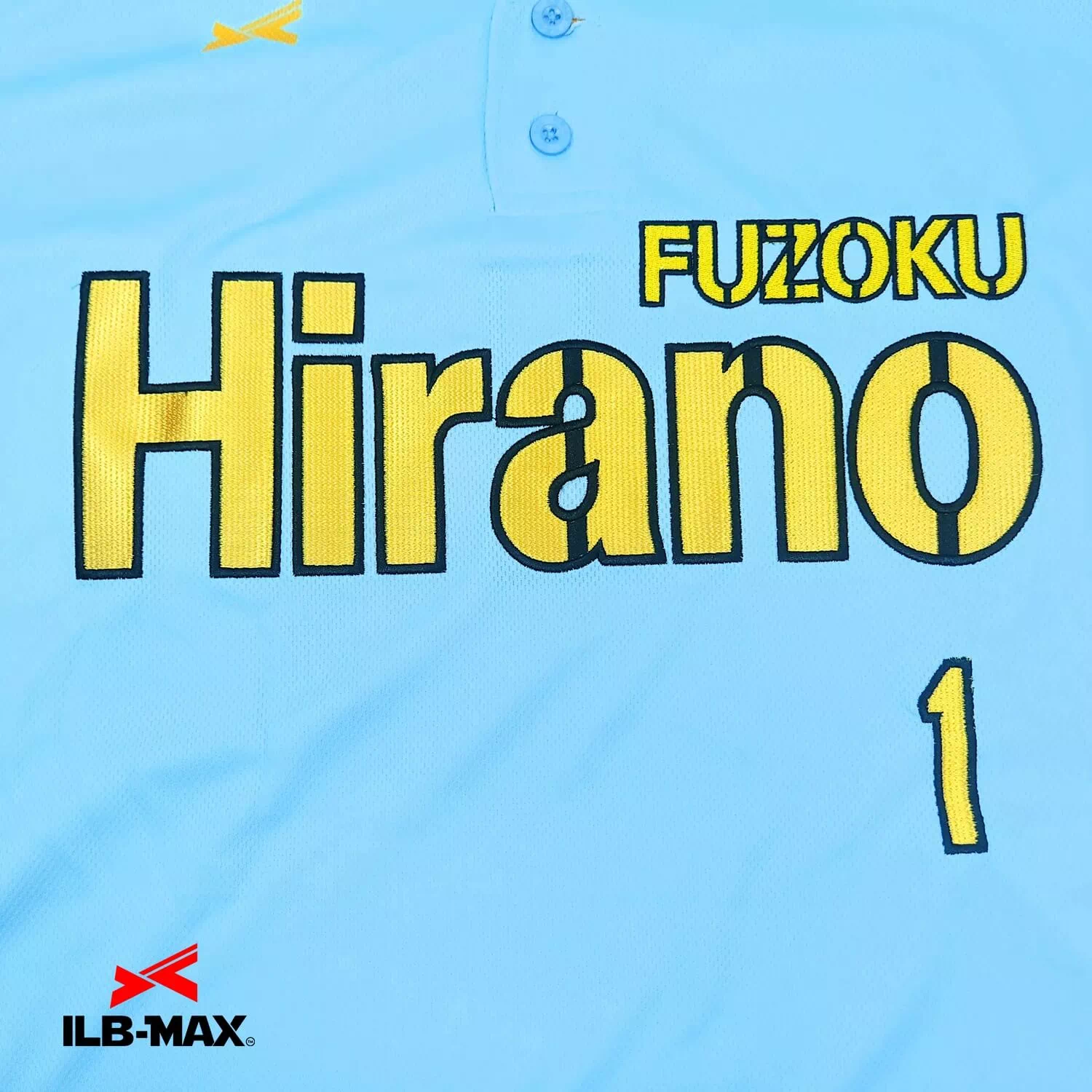 HIRANO SHO2