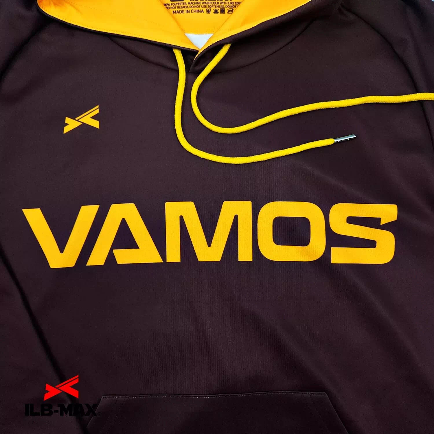 HYOGO VAMOS_PV1