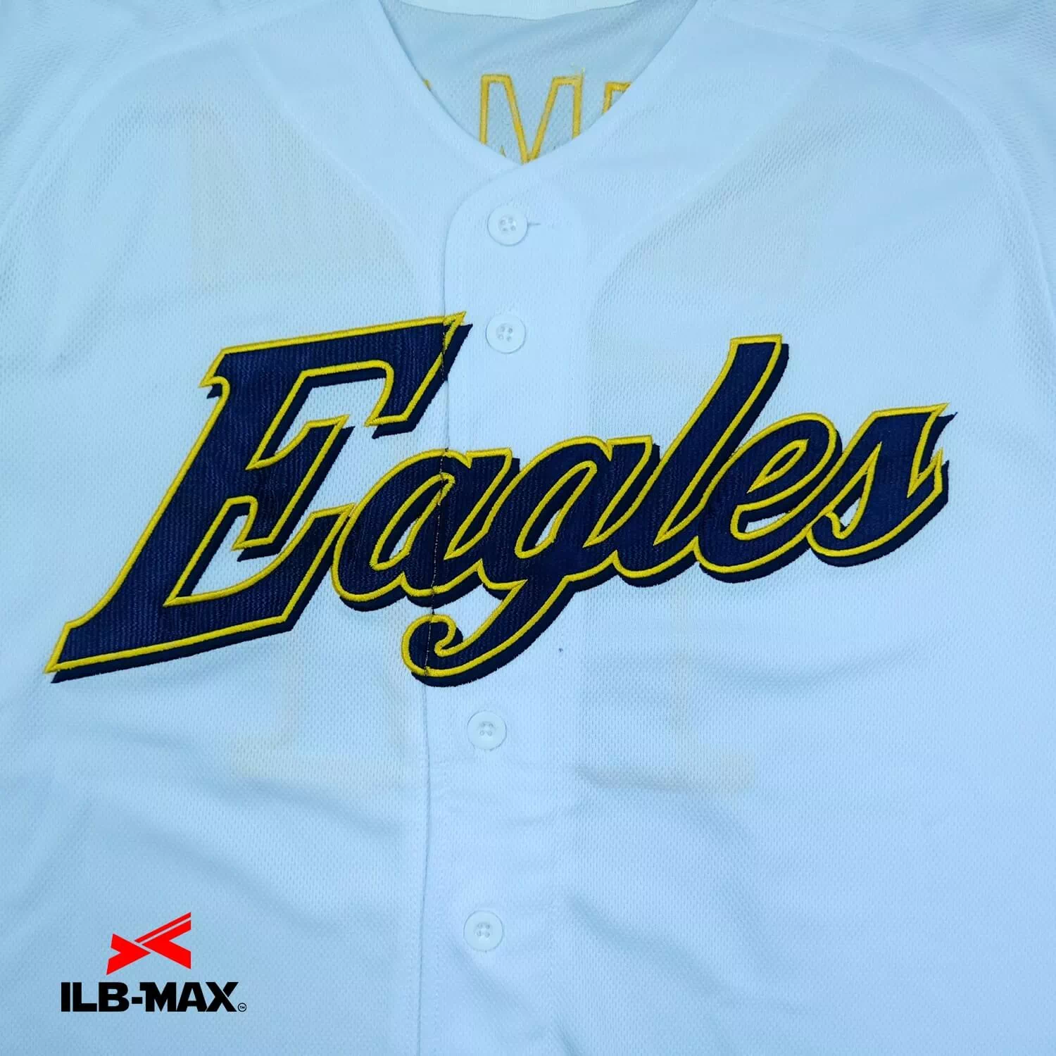 Iwami Eagles1