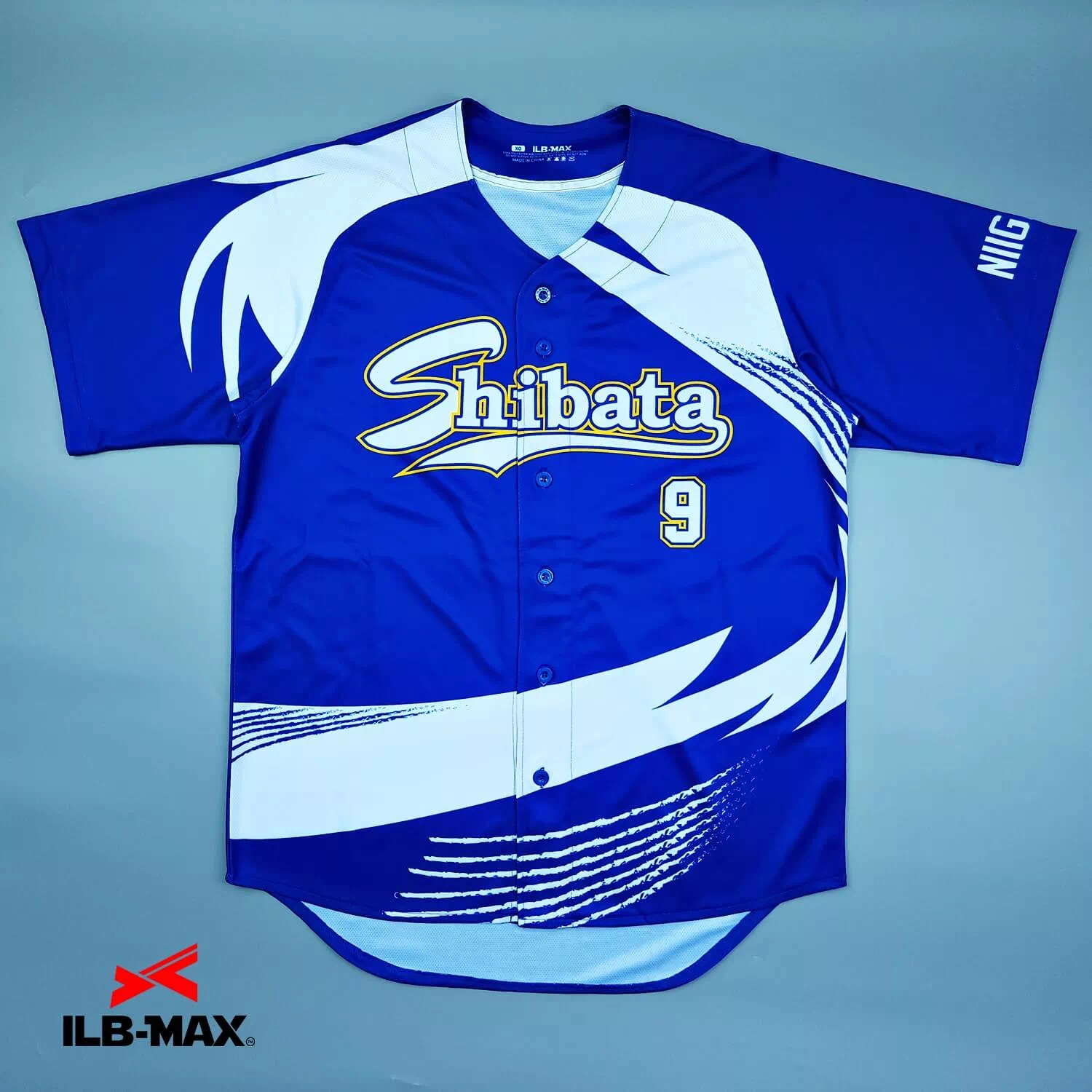NIIGATA SHIBATA1