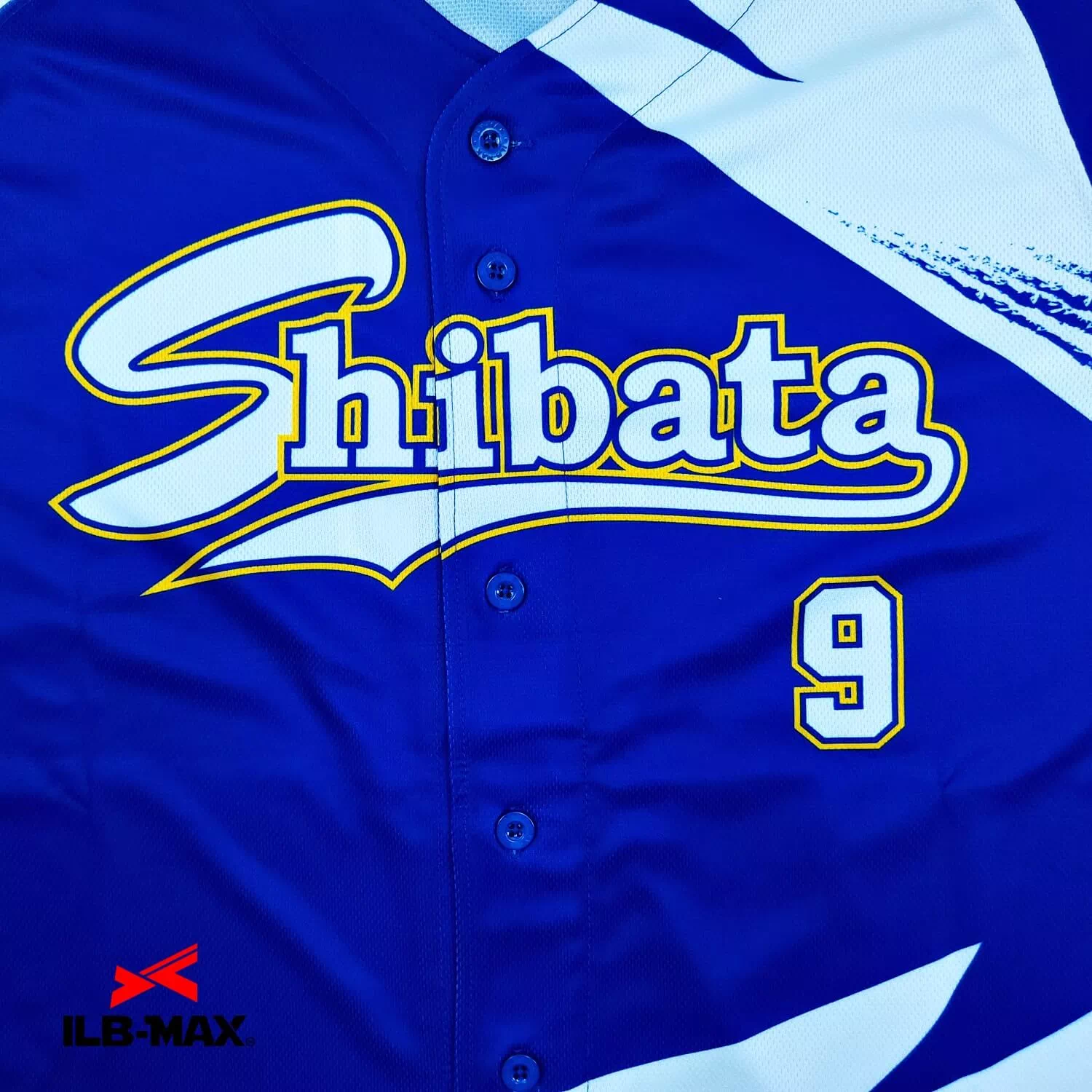 NIIGATA SHIBATA2