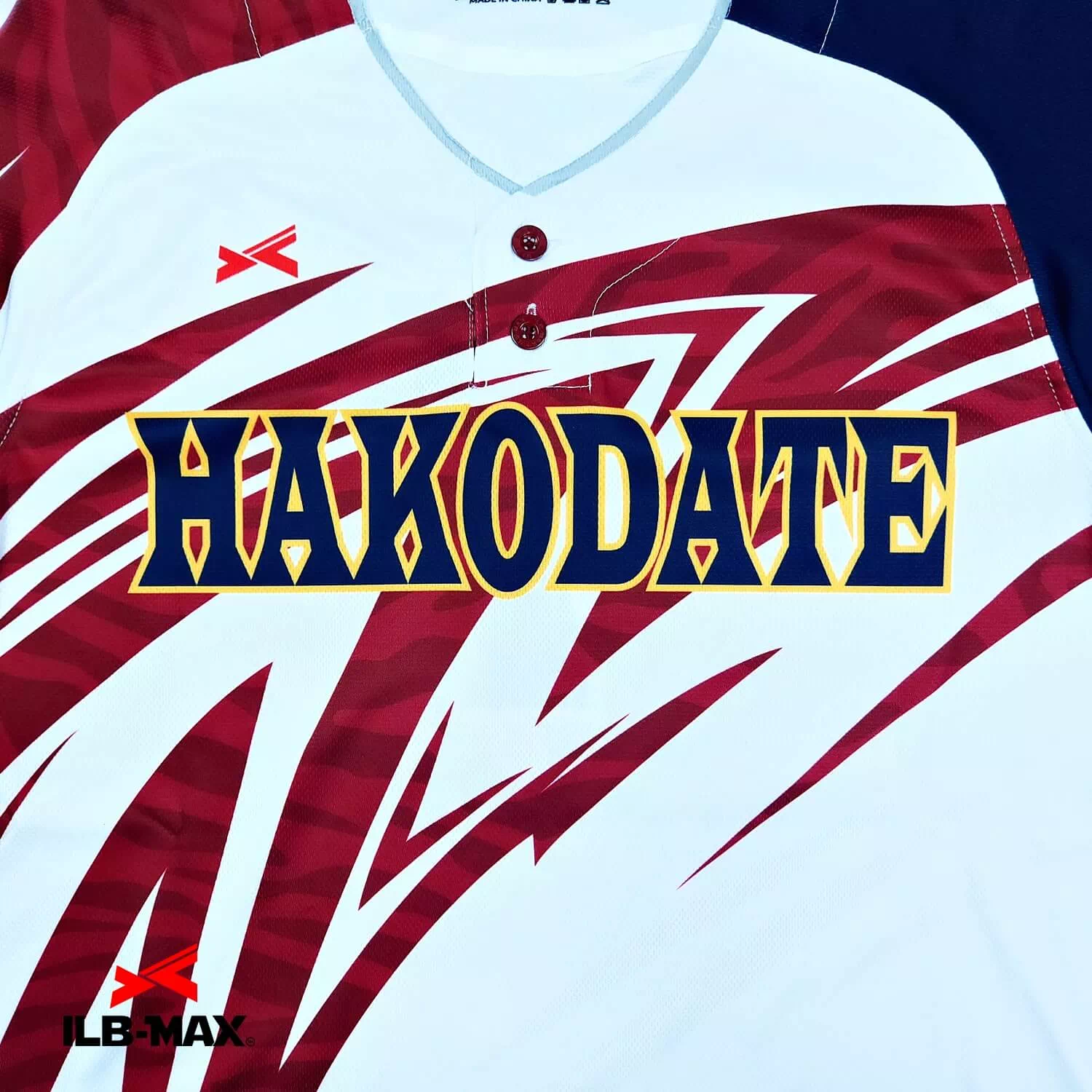 OSHIMA HAKODATE2