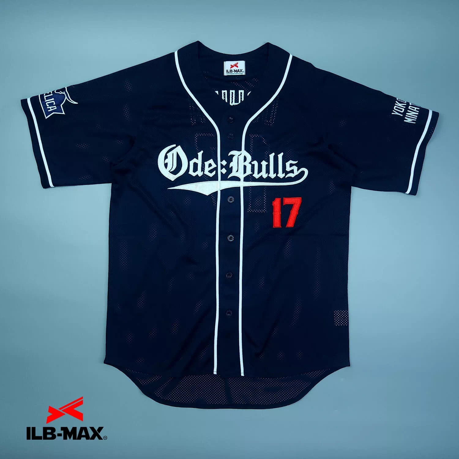 Ode Bulls1