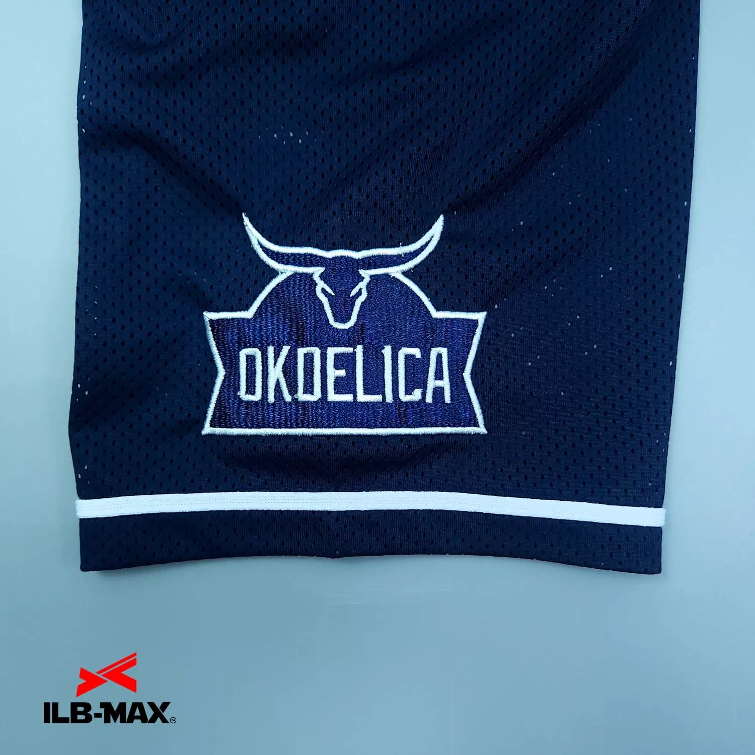 Ode Bulls3