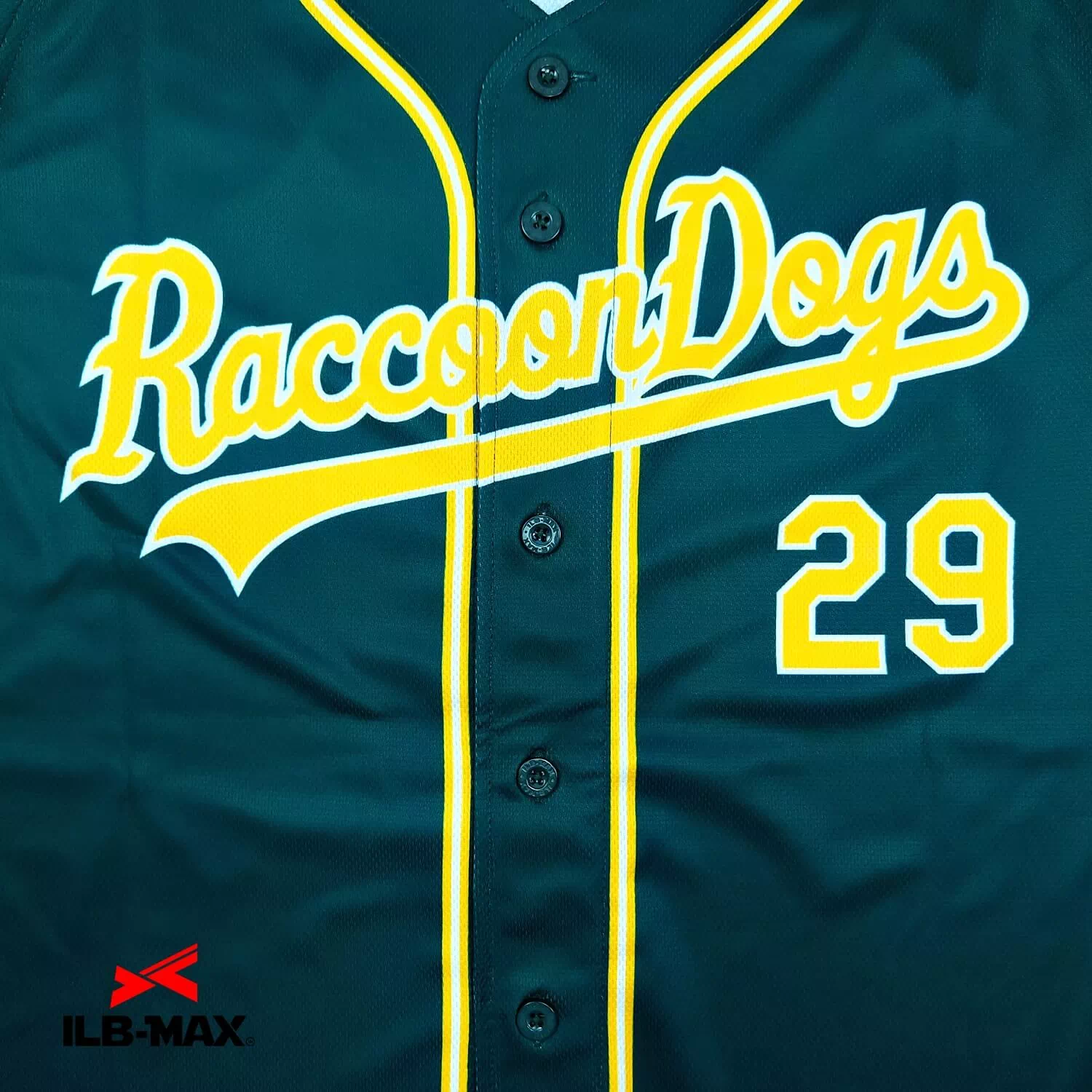 Raccoon Dogs2