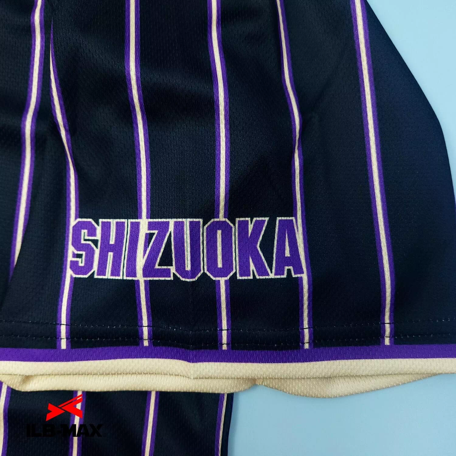 SHIZUOKA Beginners4