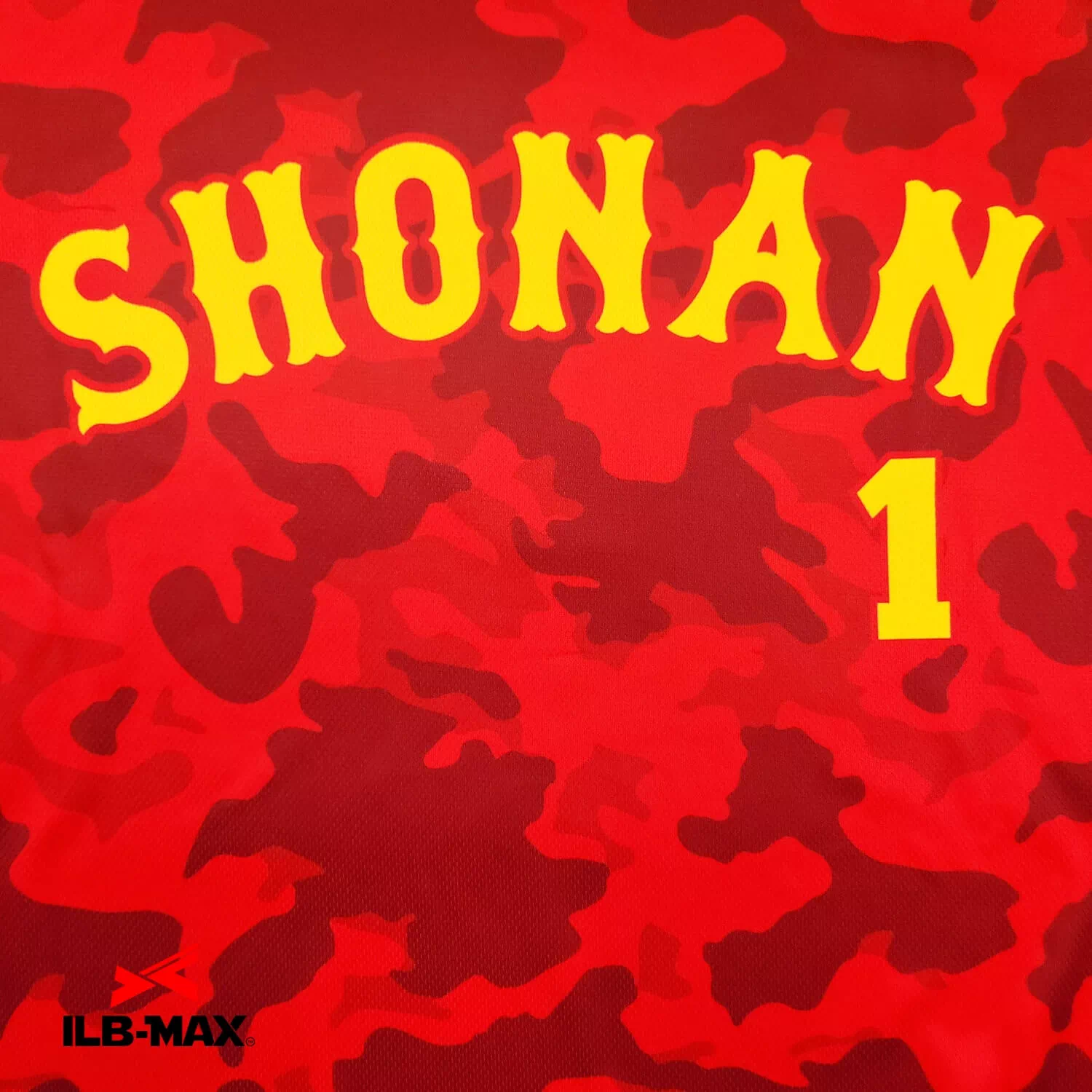SHONAN2
