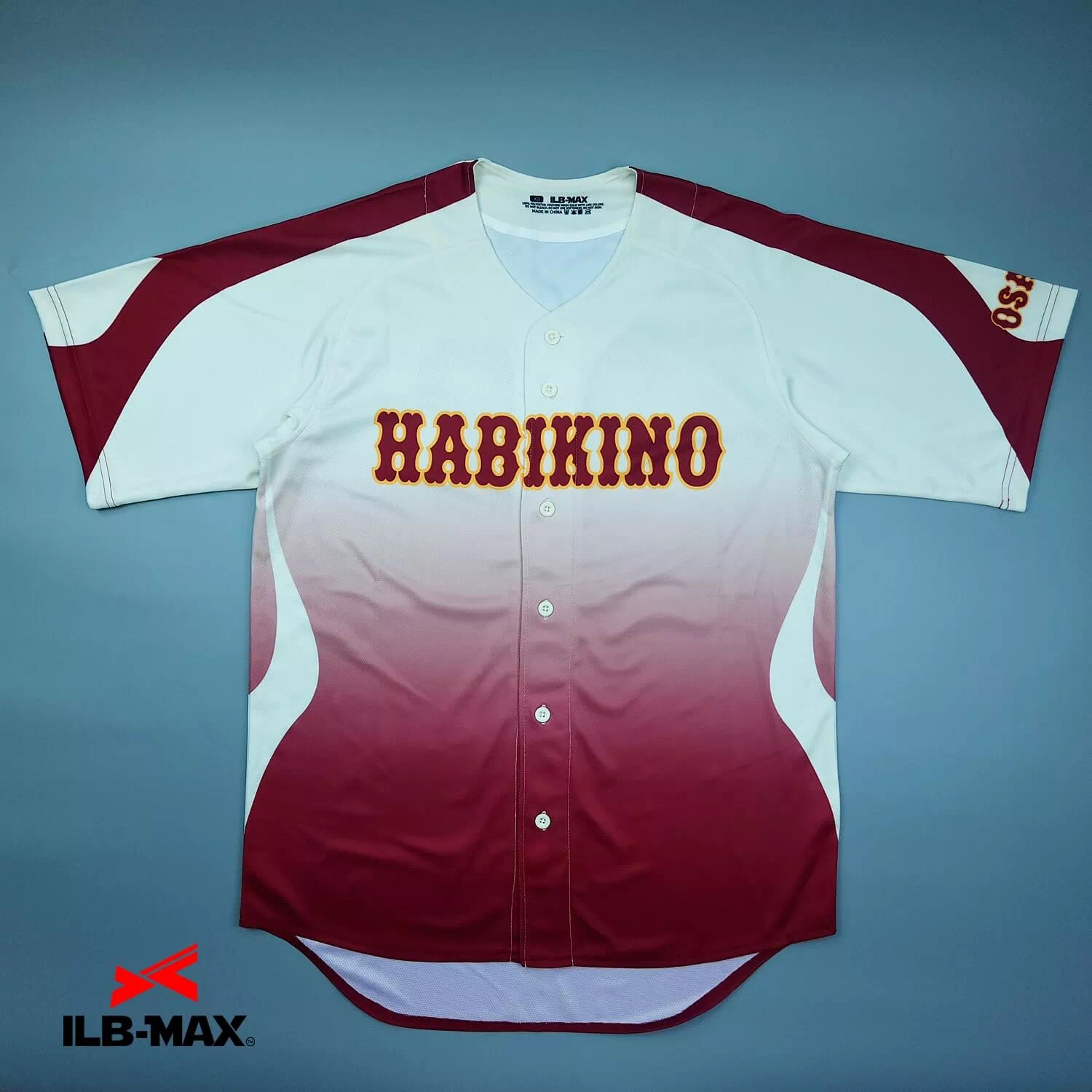 TAKASU HABIKINO 2nd1