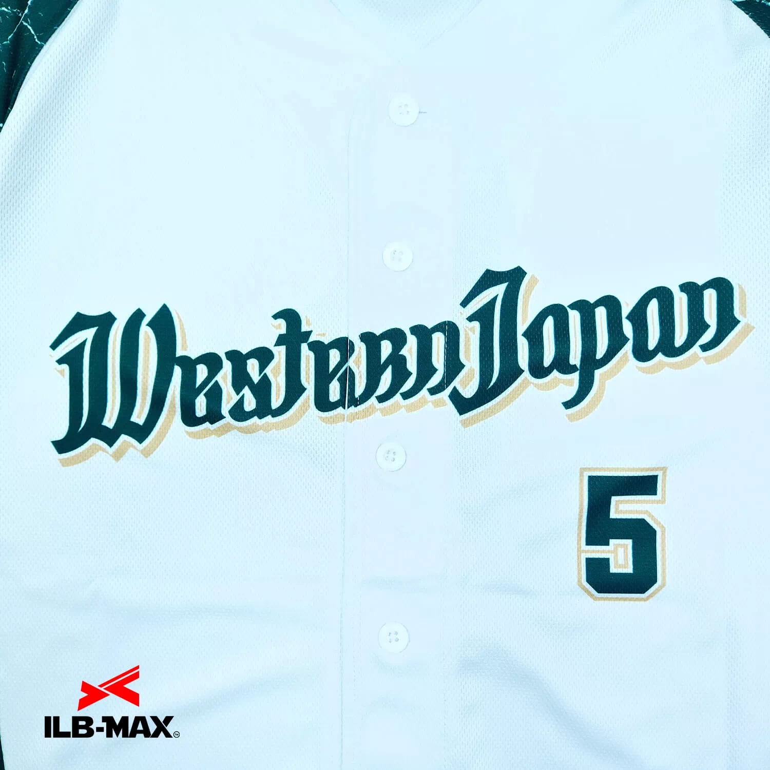 WesternJapan2