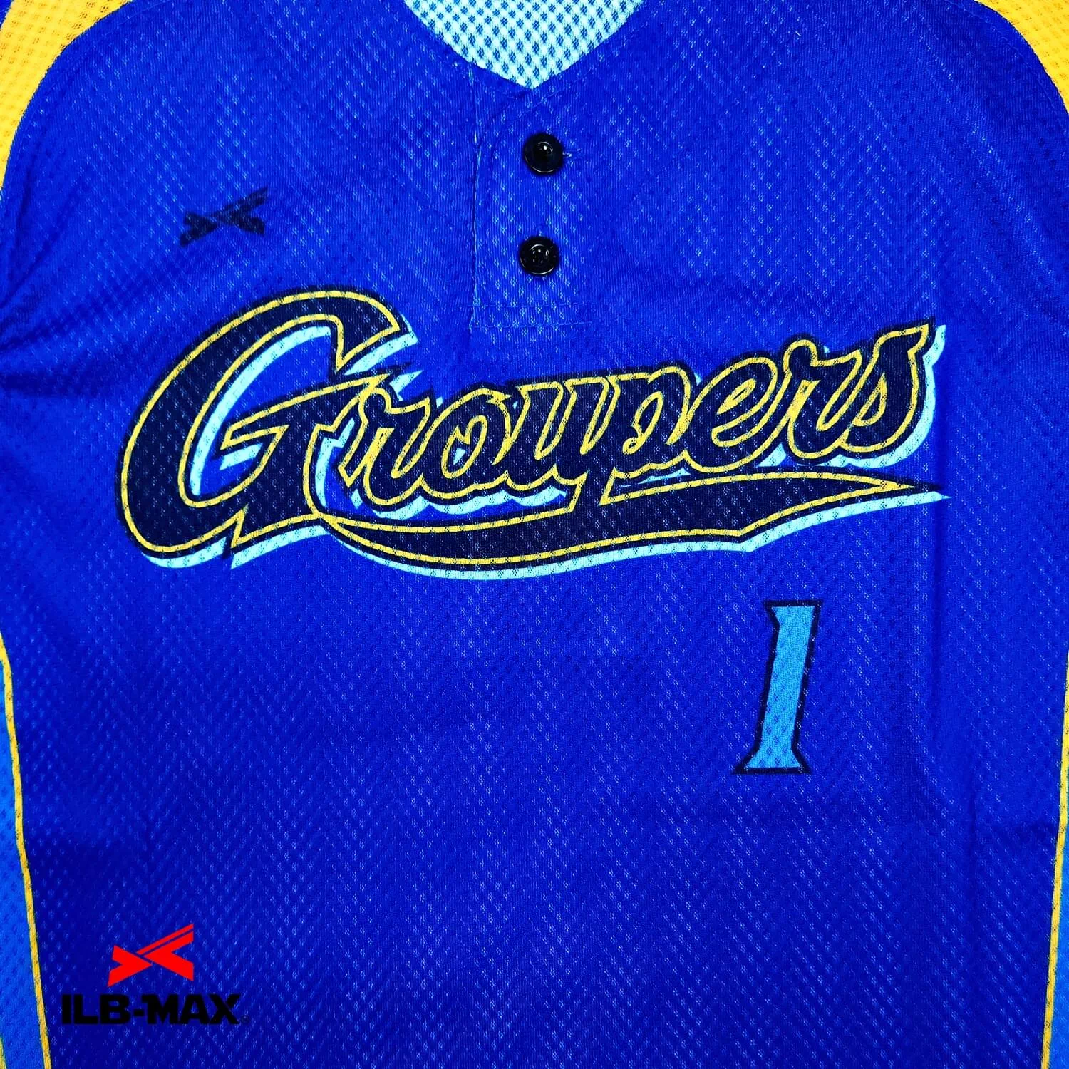 Groupers2