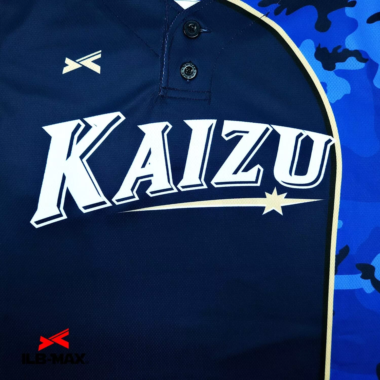 KAIZU1