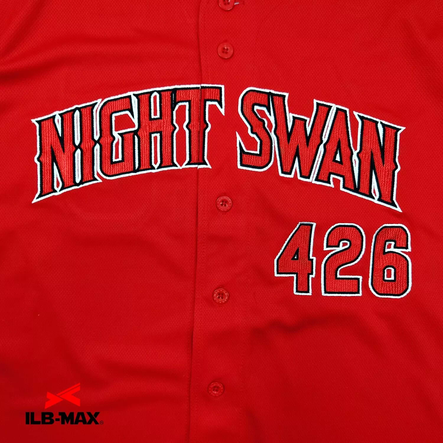 Night Swan 2nd3