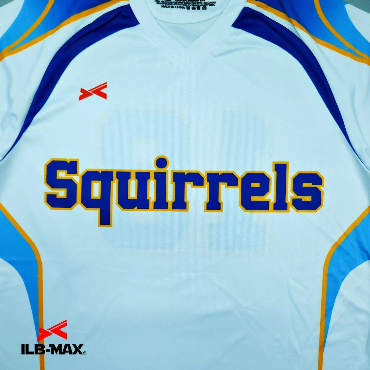Squirrels_ST1