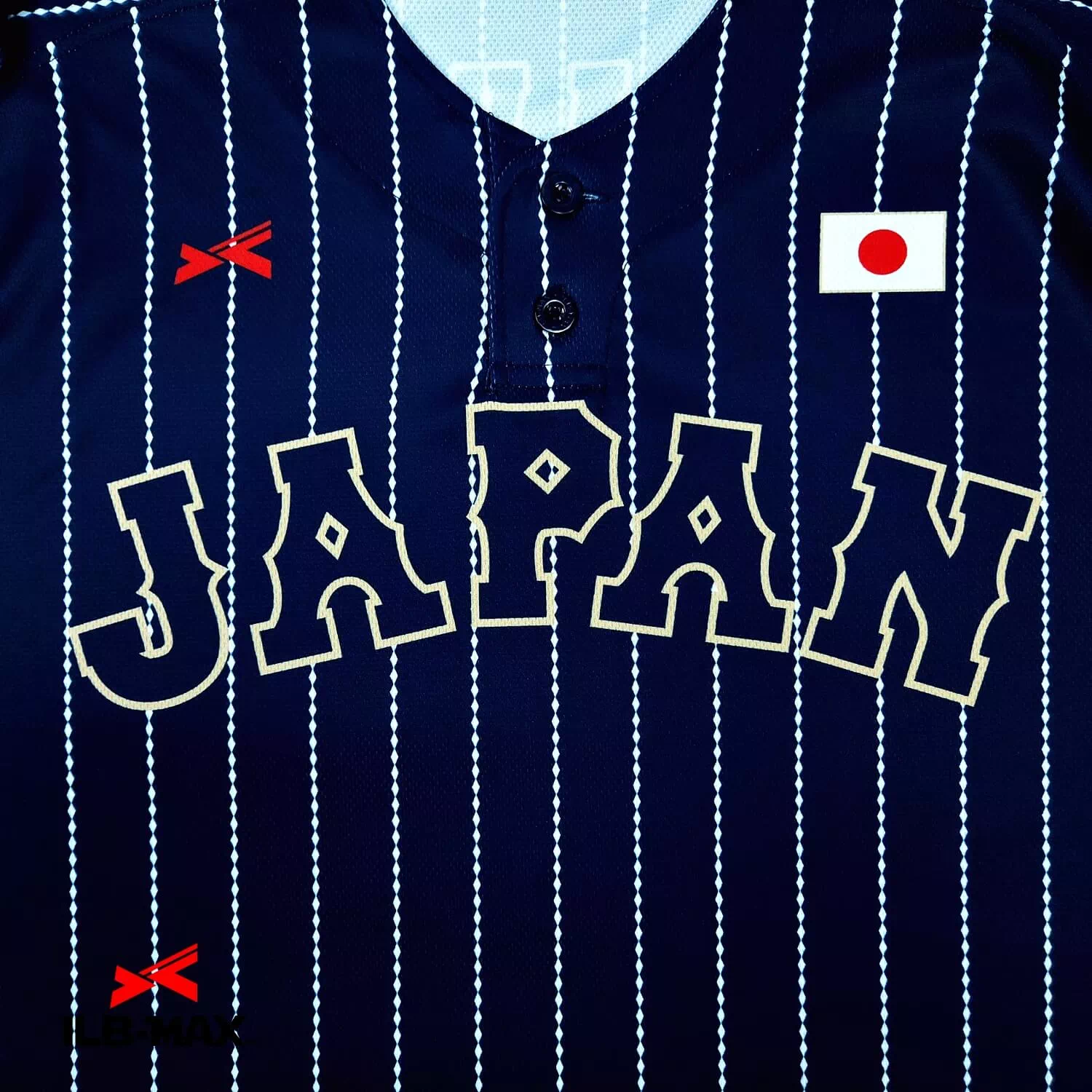 WAKAYAMA JAPAN1