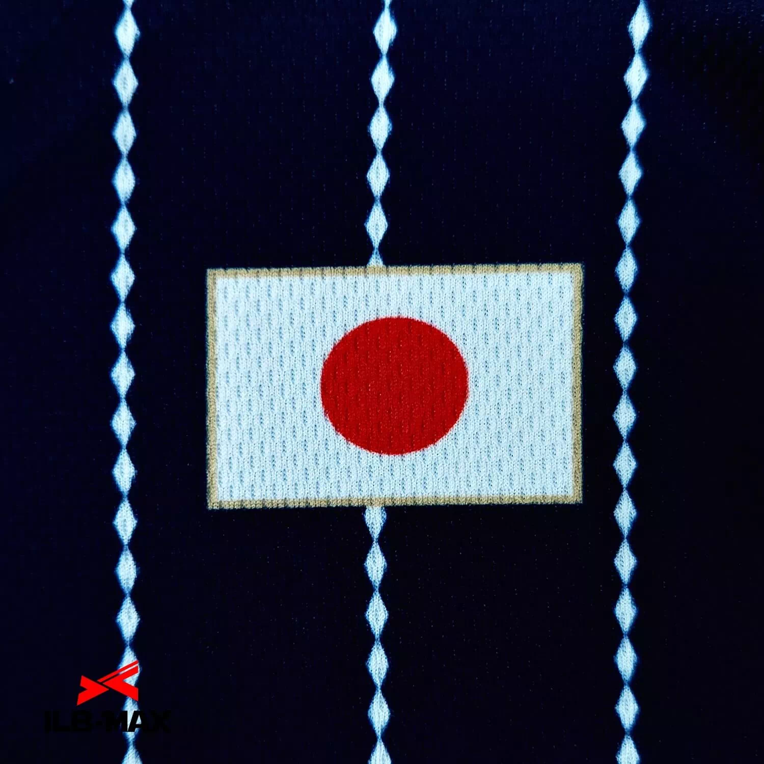 WAKAYAMA JAPAN2