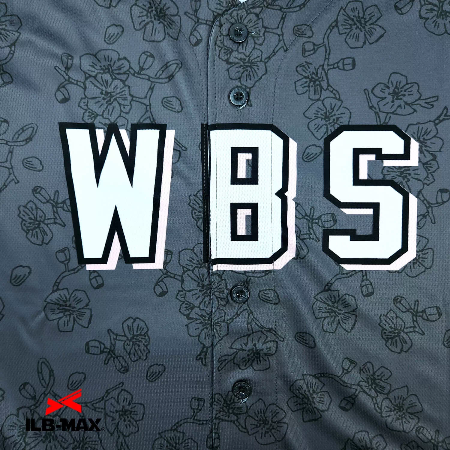 WBS2