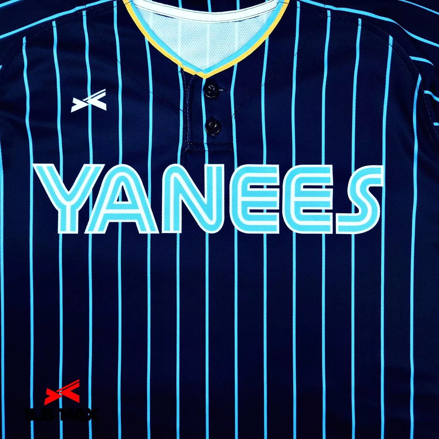 YANEES2