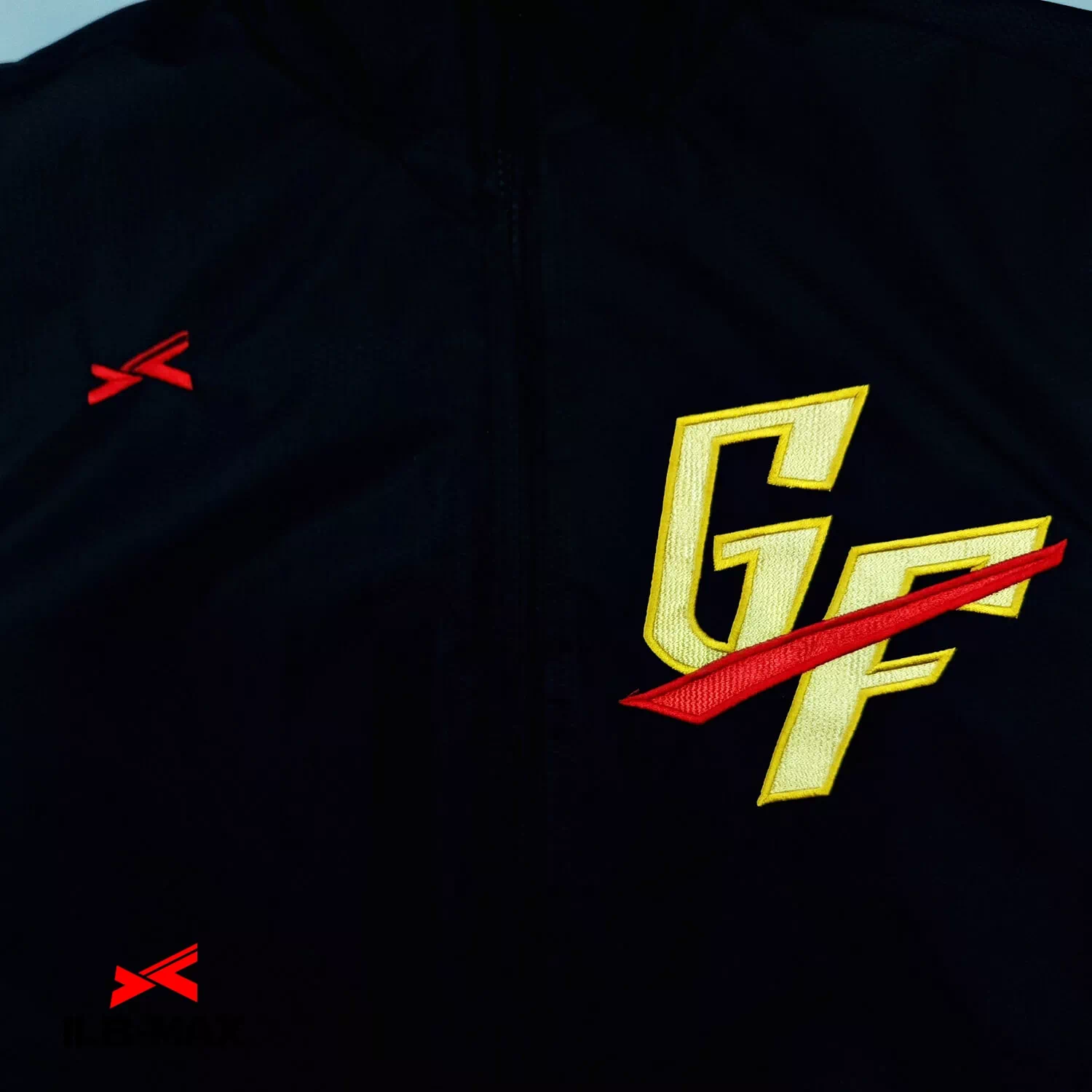 GOLD Fighters_JP1
