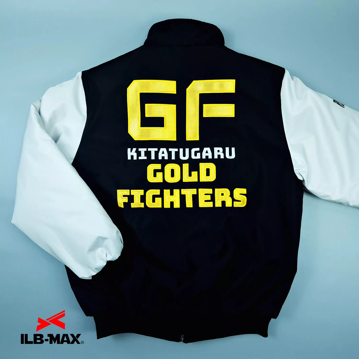 GOLD Fighters_JP3