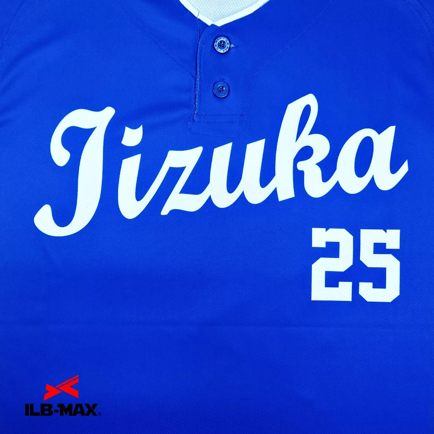 IIZUKA2