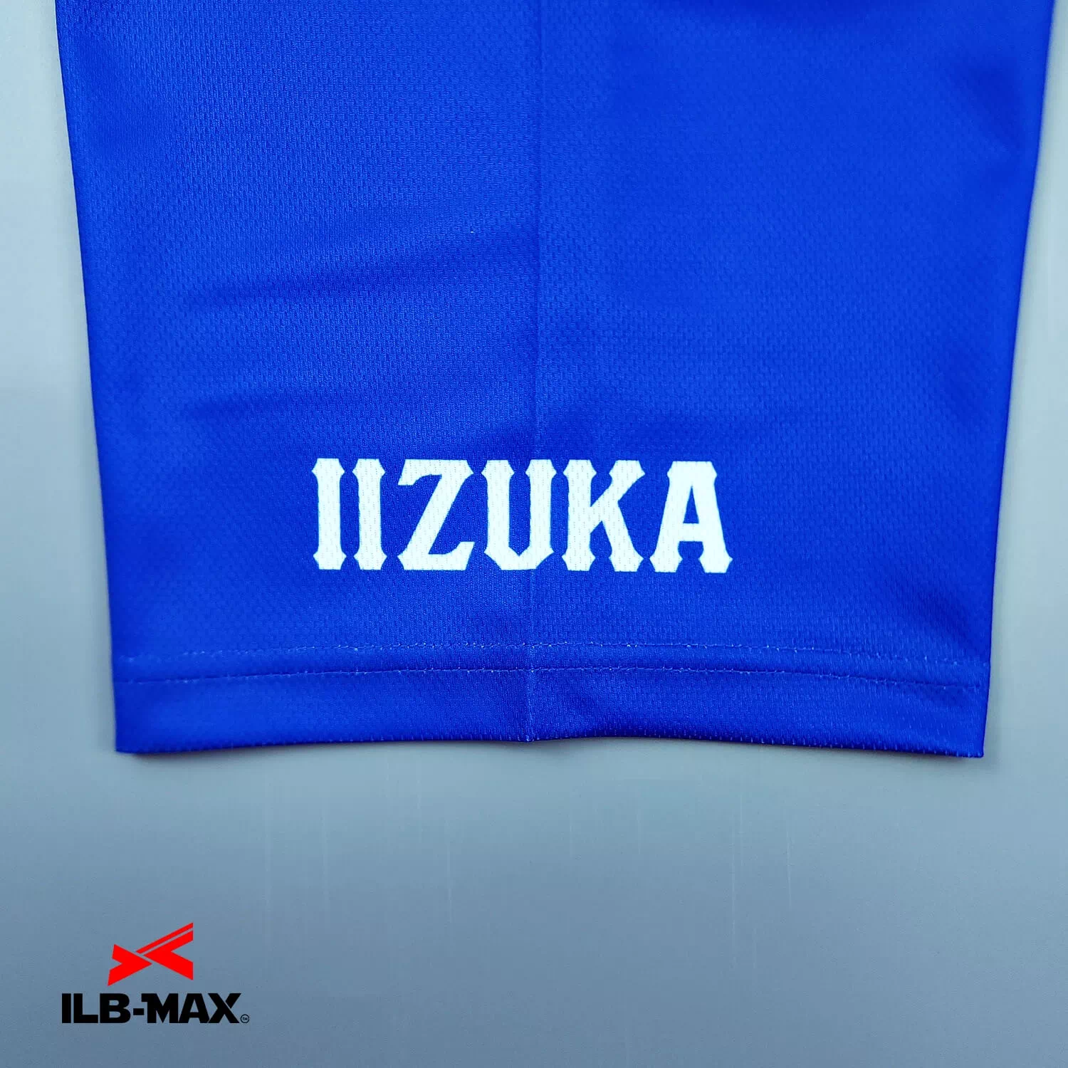 IIZUKA3