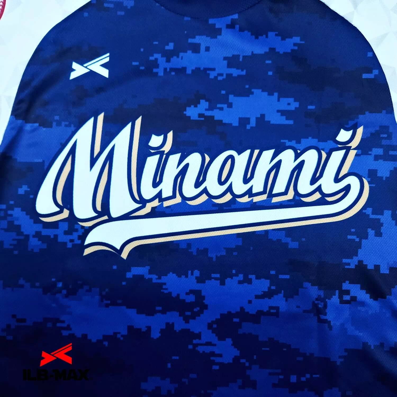 MINAMI Mets1