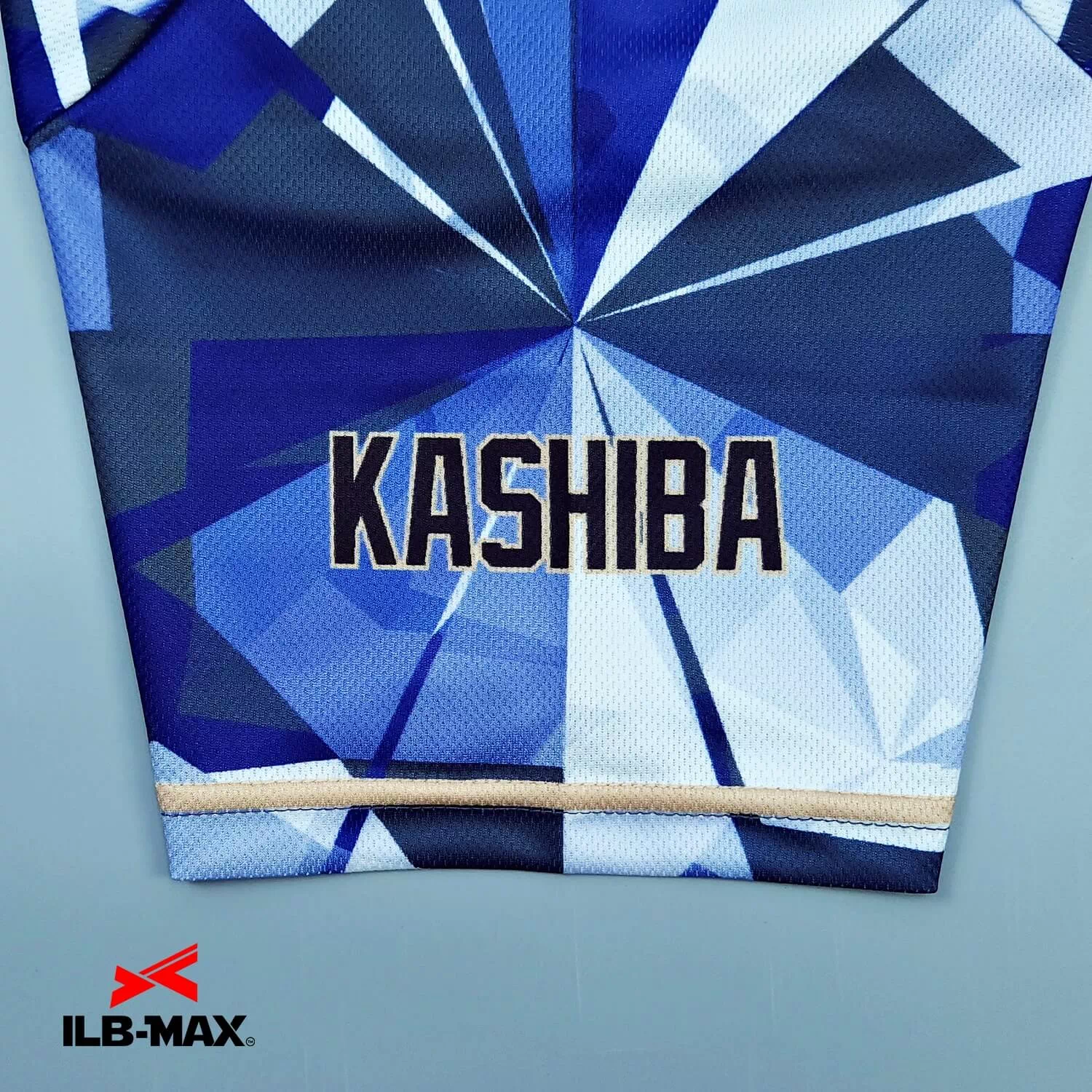 Mitsushimo Doccoizu4